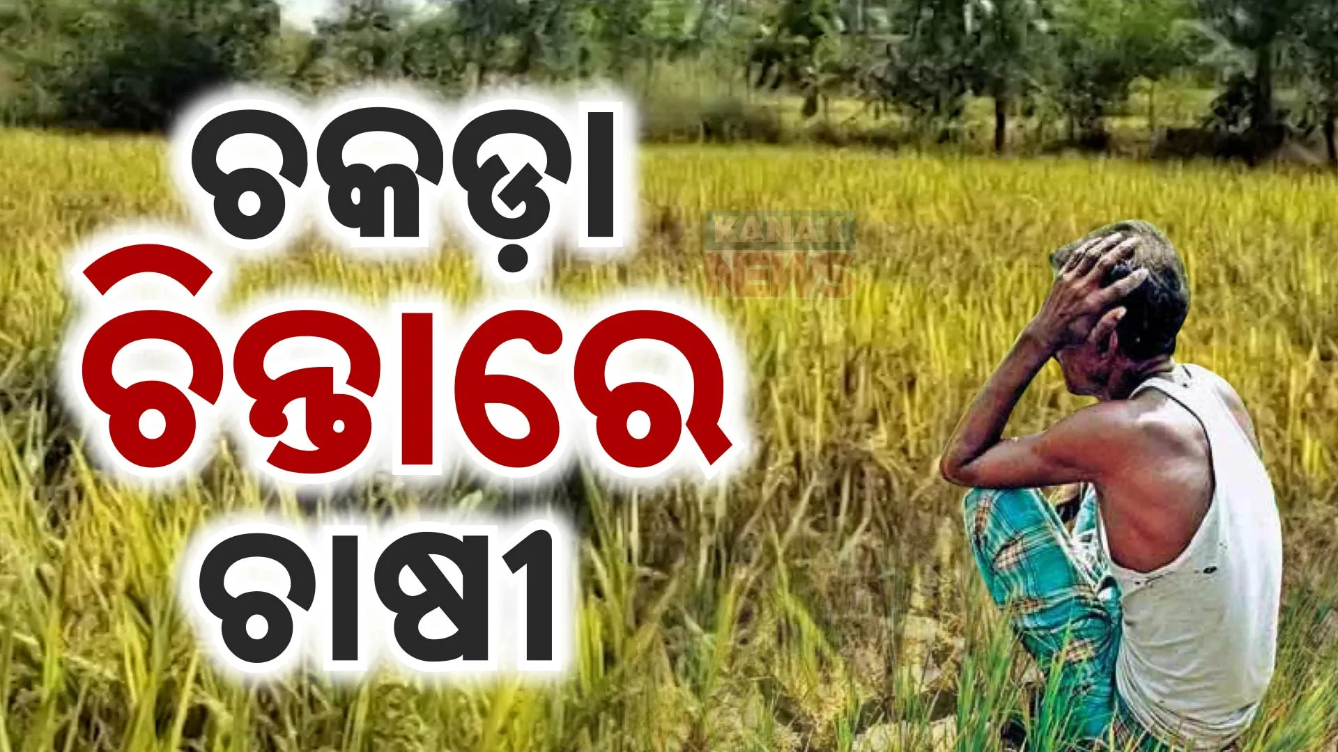 Chakada 