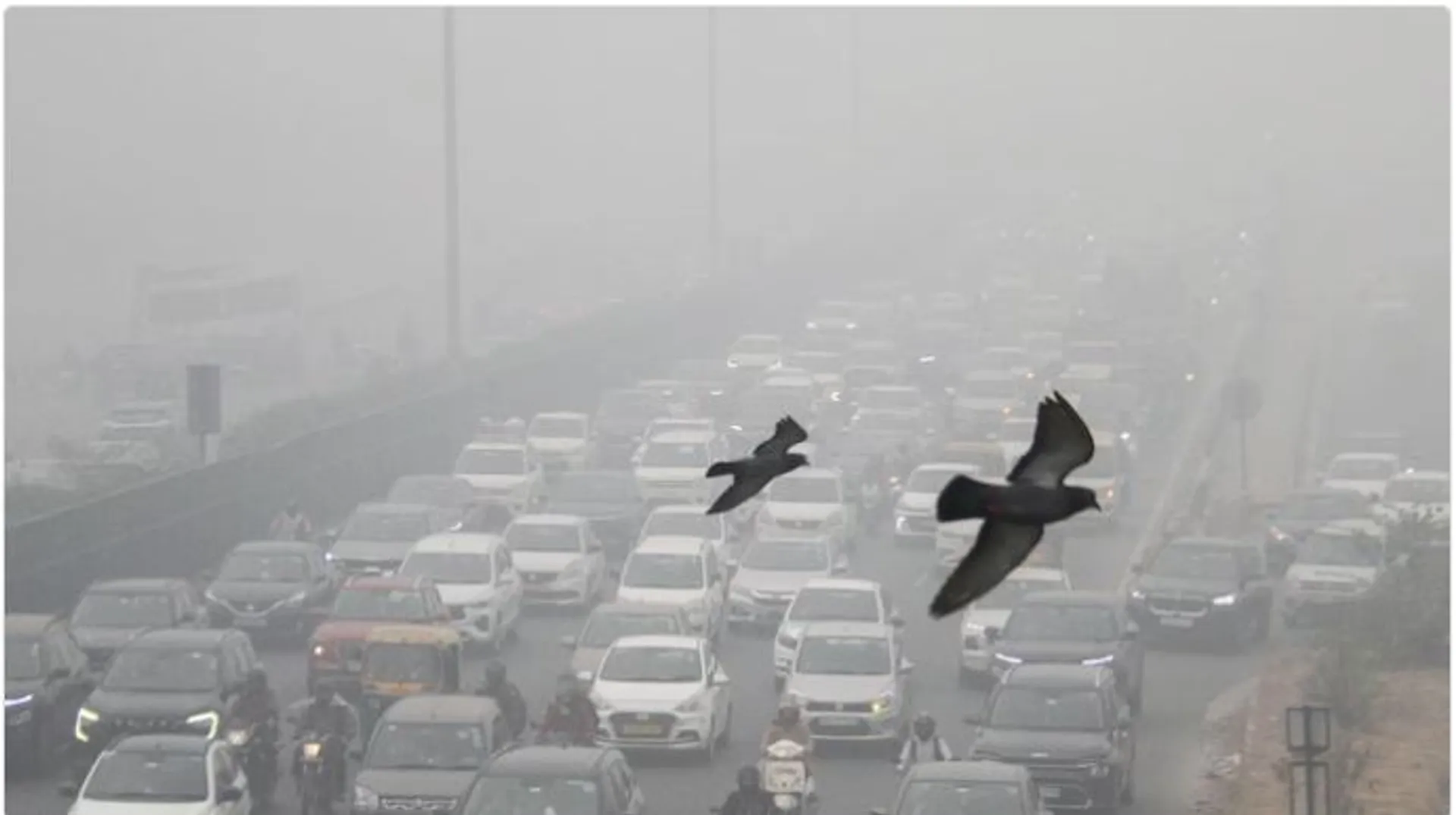 POLLUTION