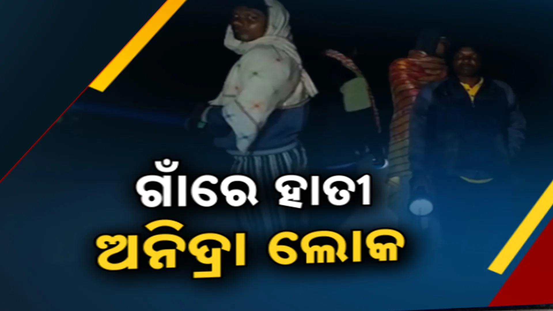 NILAGIRI ELE