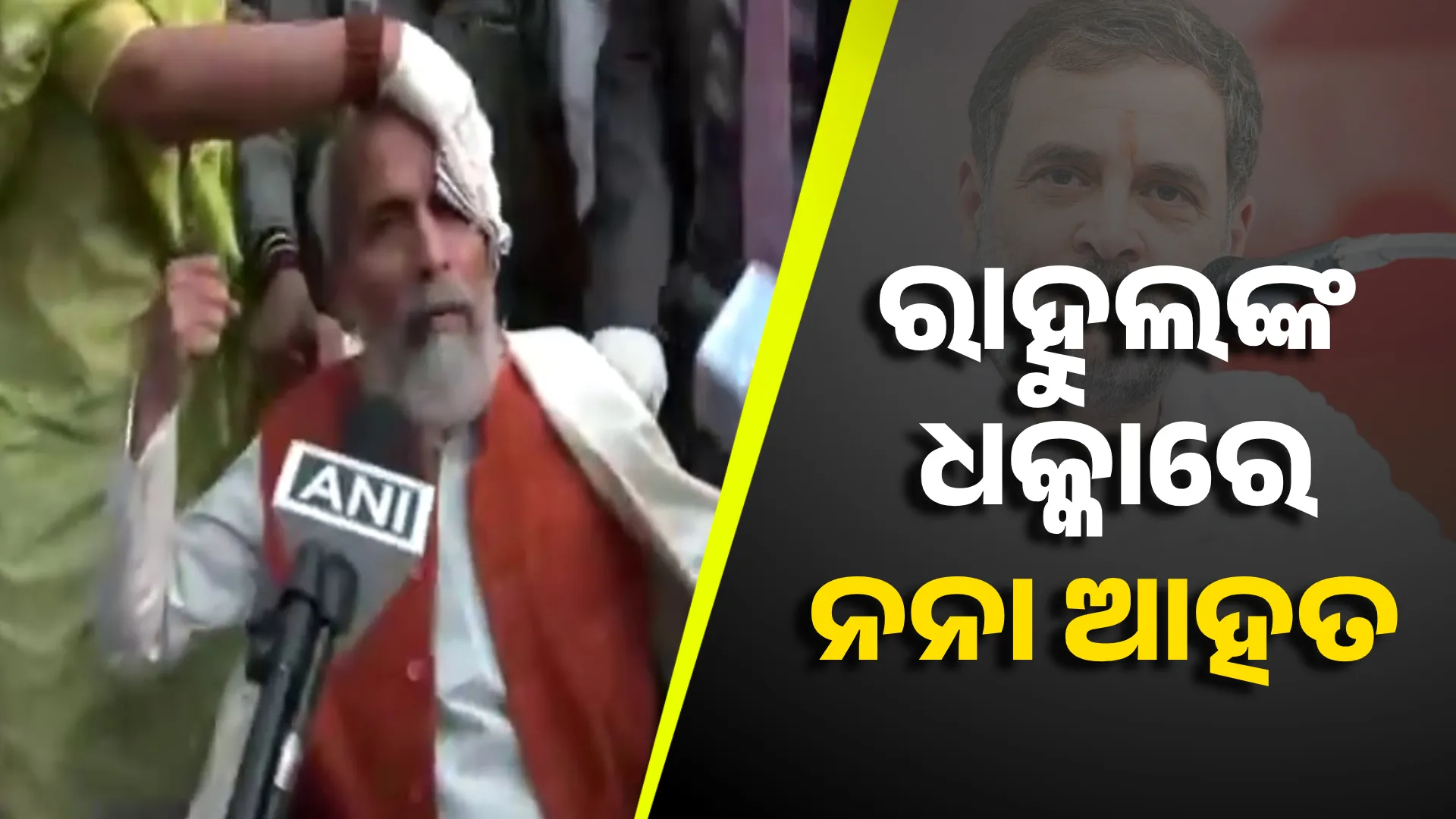 pratap-rahul