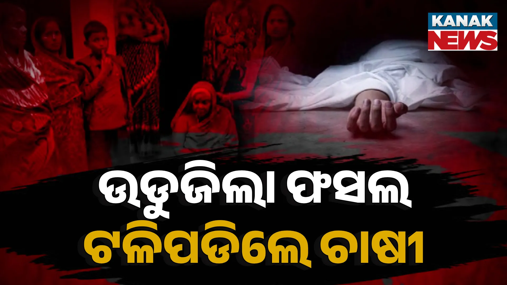 ଉଡୁଜିଲା ଫସଲ, ଟଳିପଡିଲେ ଚାଷୀ