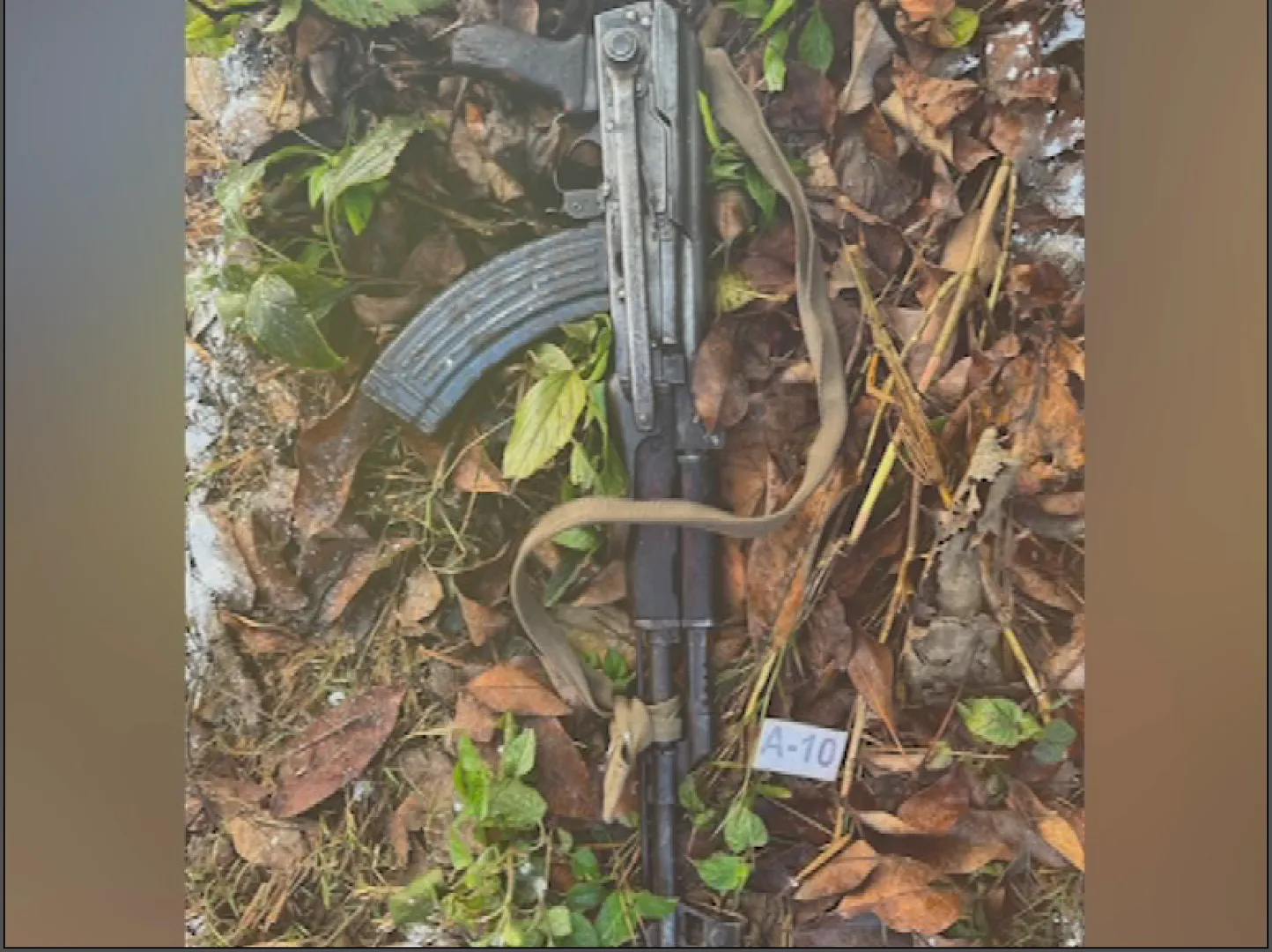 gun 