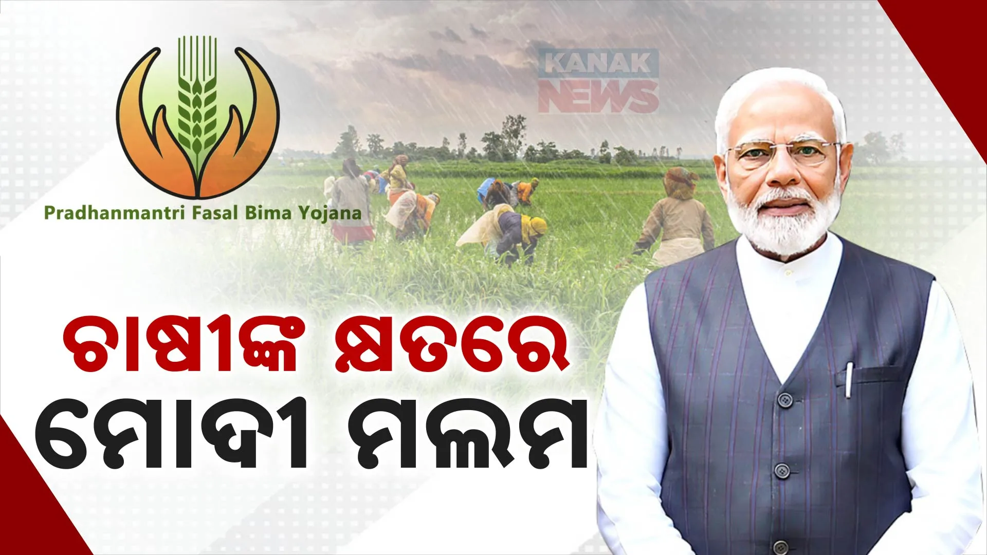 PM MODI 1v