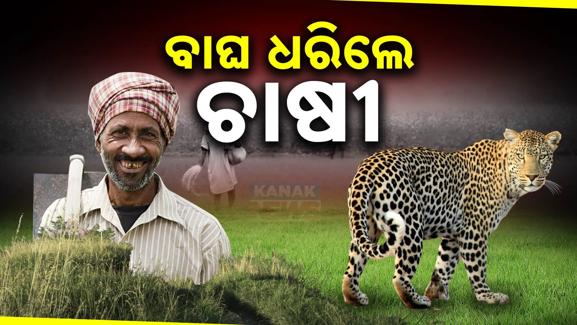 Farmer Tiger