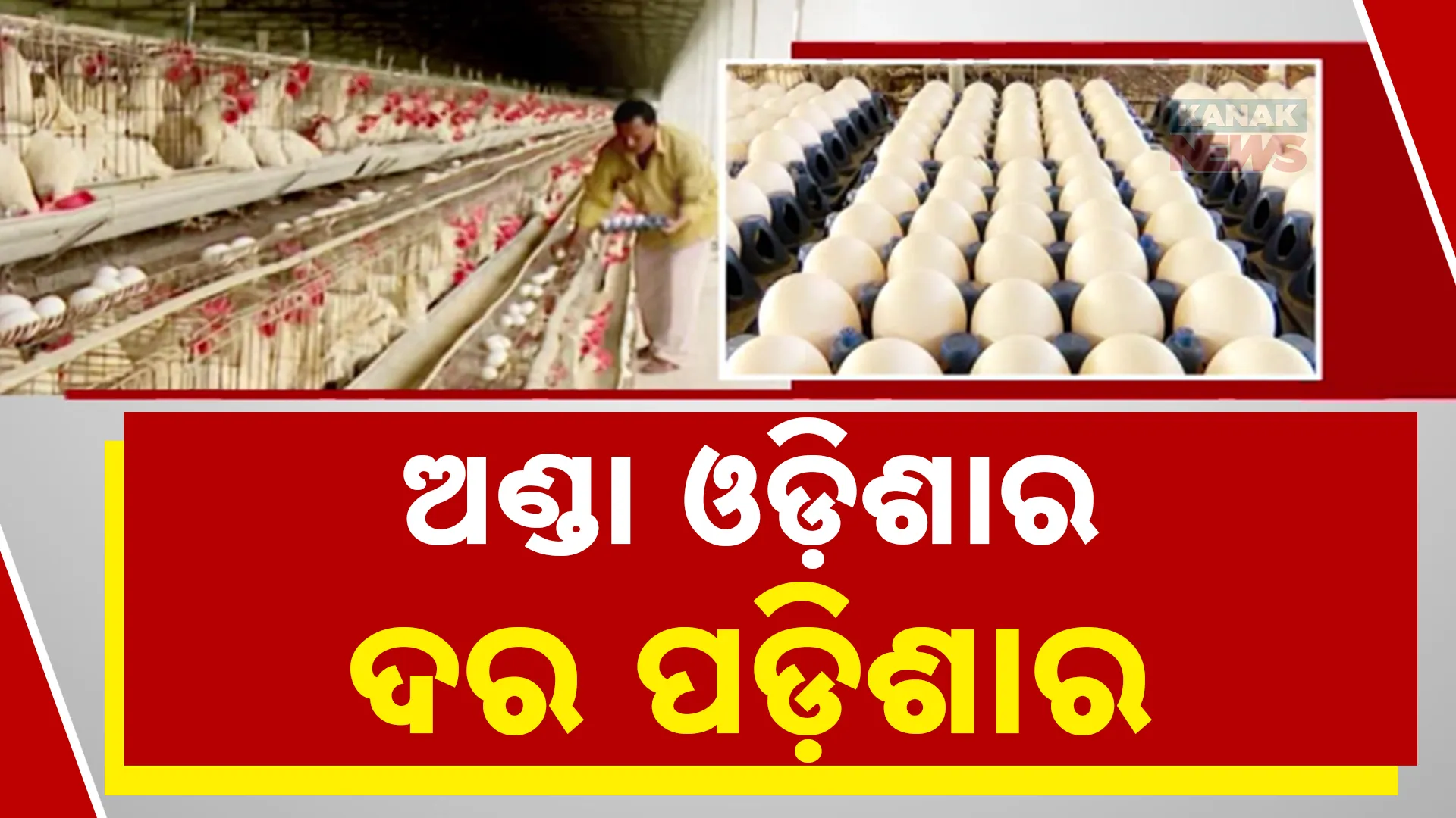 ଅଣ୍ଡା ଓଡ଼ିଶାର, ଦର ପଡ଼ିଶା