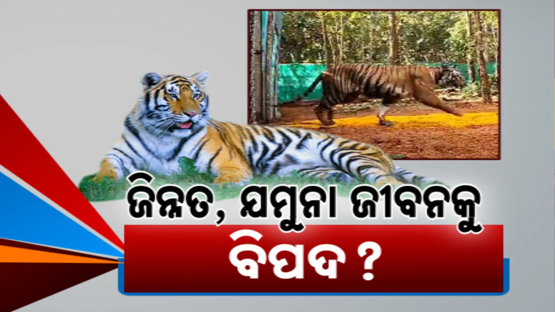 ଜିନ୍ନତ, ଯମୁନା ଜୀବନକୁ ବିପଦ? 
