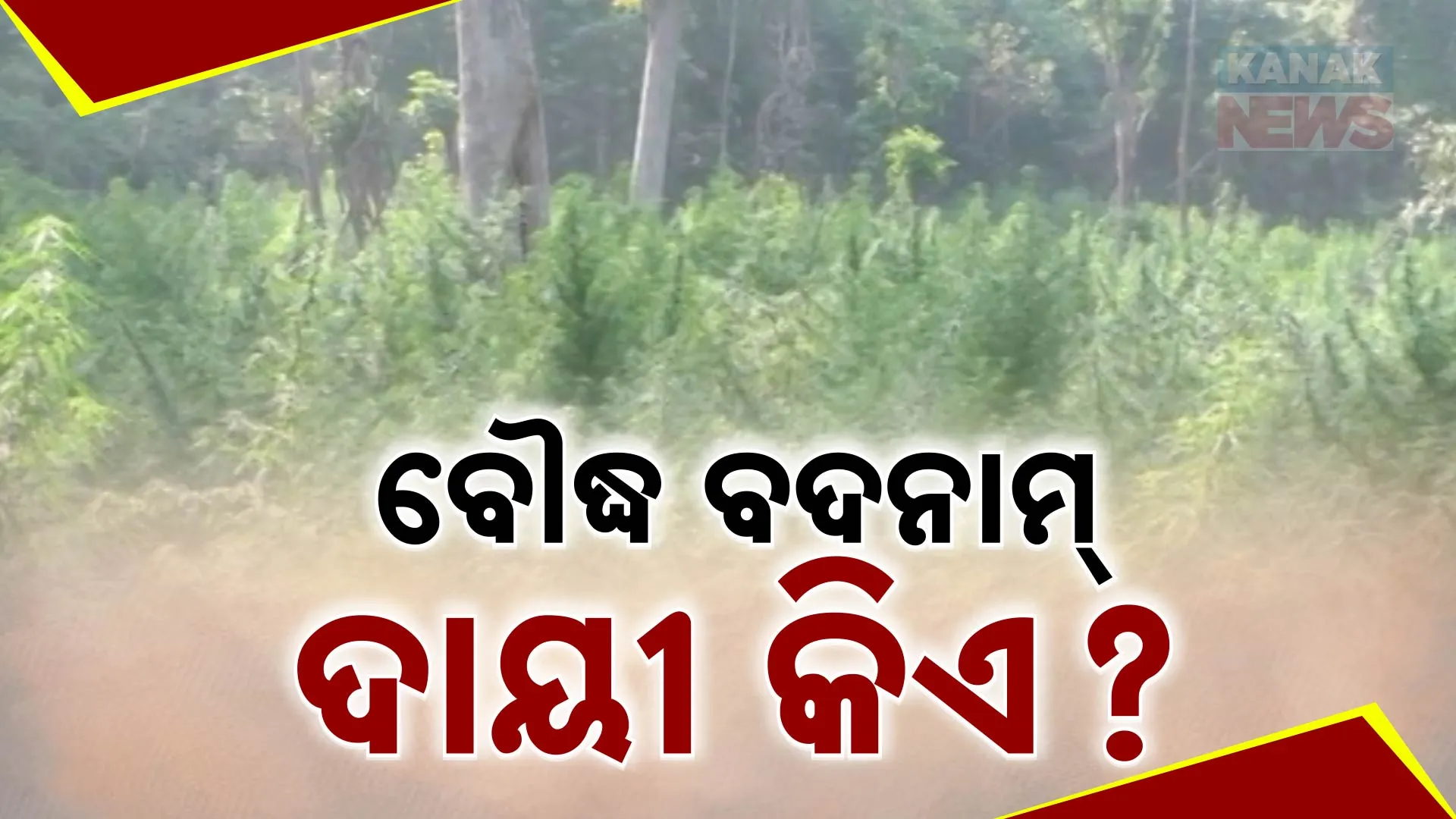26 boudha