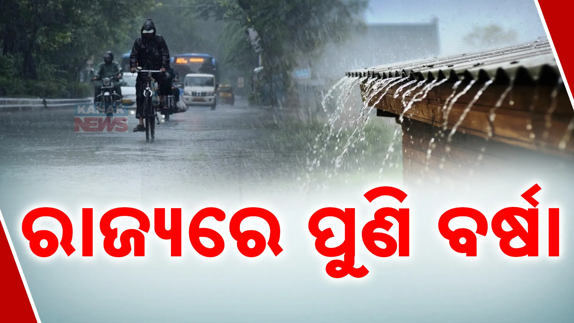 ବର୍ଷା ସହ ଘନ କୁହୁଡି  ଆଲର୍ଟ 