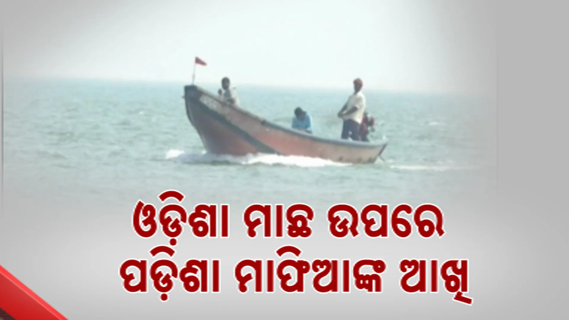   ମାଛ ଯାଆଁଳ ଚୋରା ଚାଲାଣ