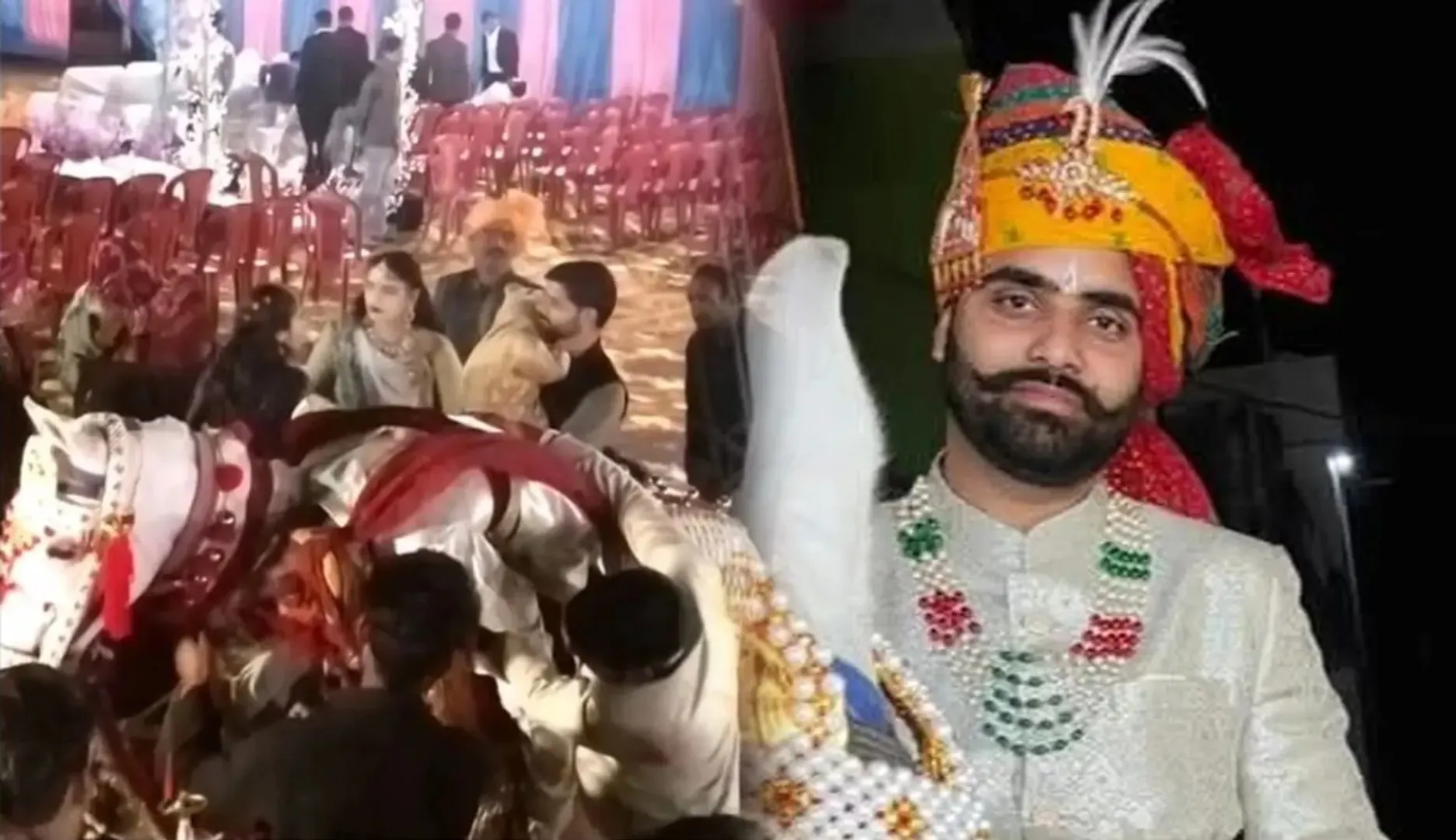 Groom 111