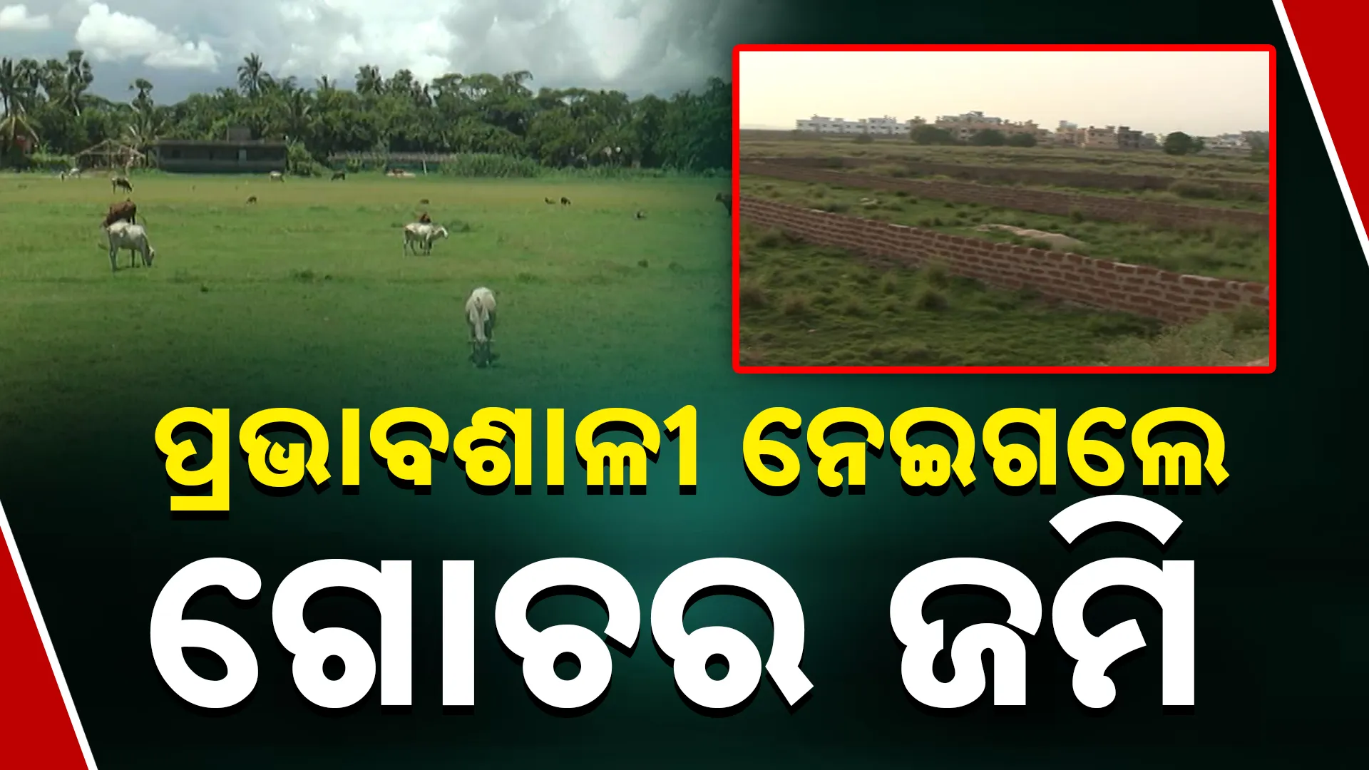 ଜବରଦଖଲକାରୀଙ୍କ କବଜାରେ ଗୋଚର ଜମି 