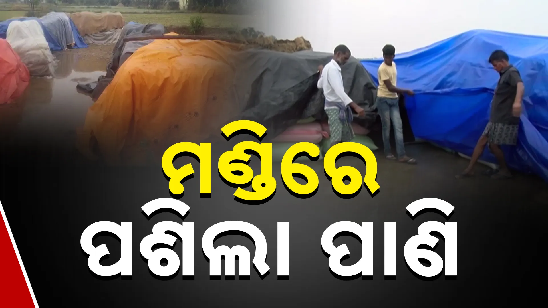 ପଂଗୁଣରେ ଅଦିନିଆ ବର୍ଷା 