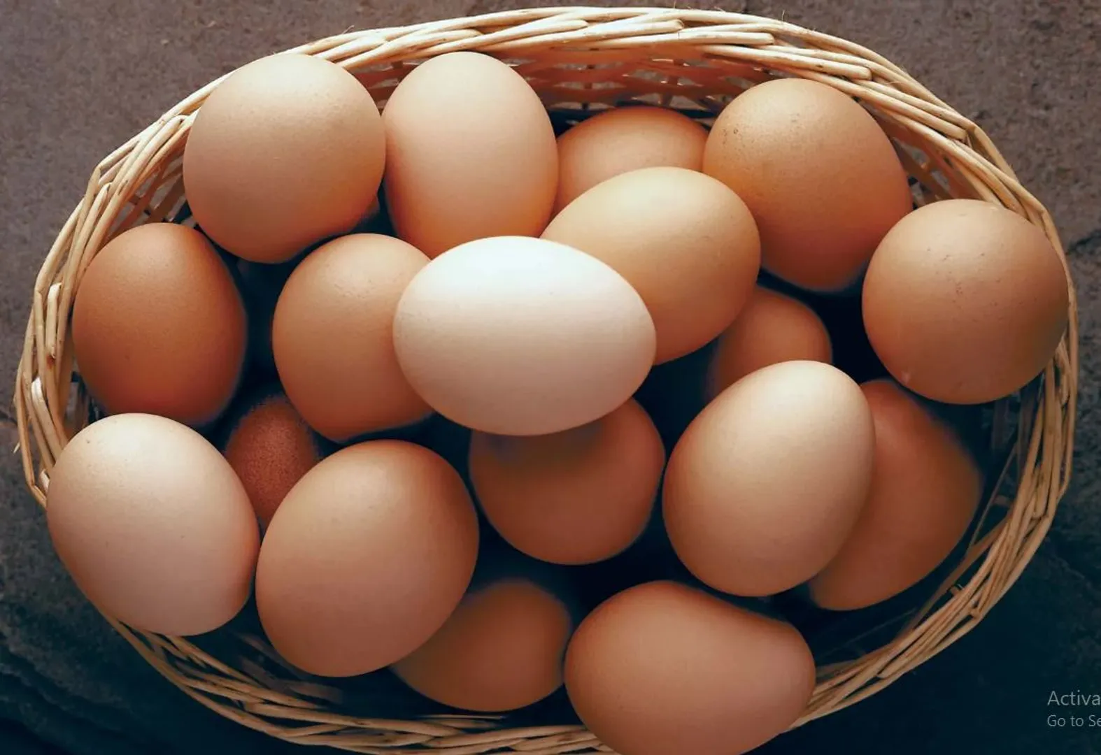 egg-+