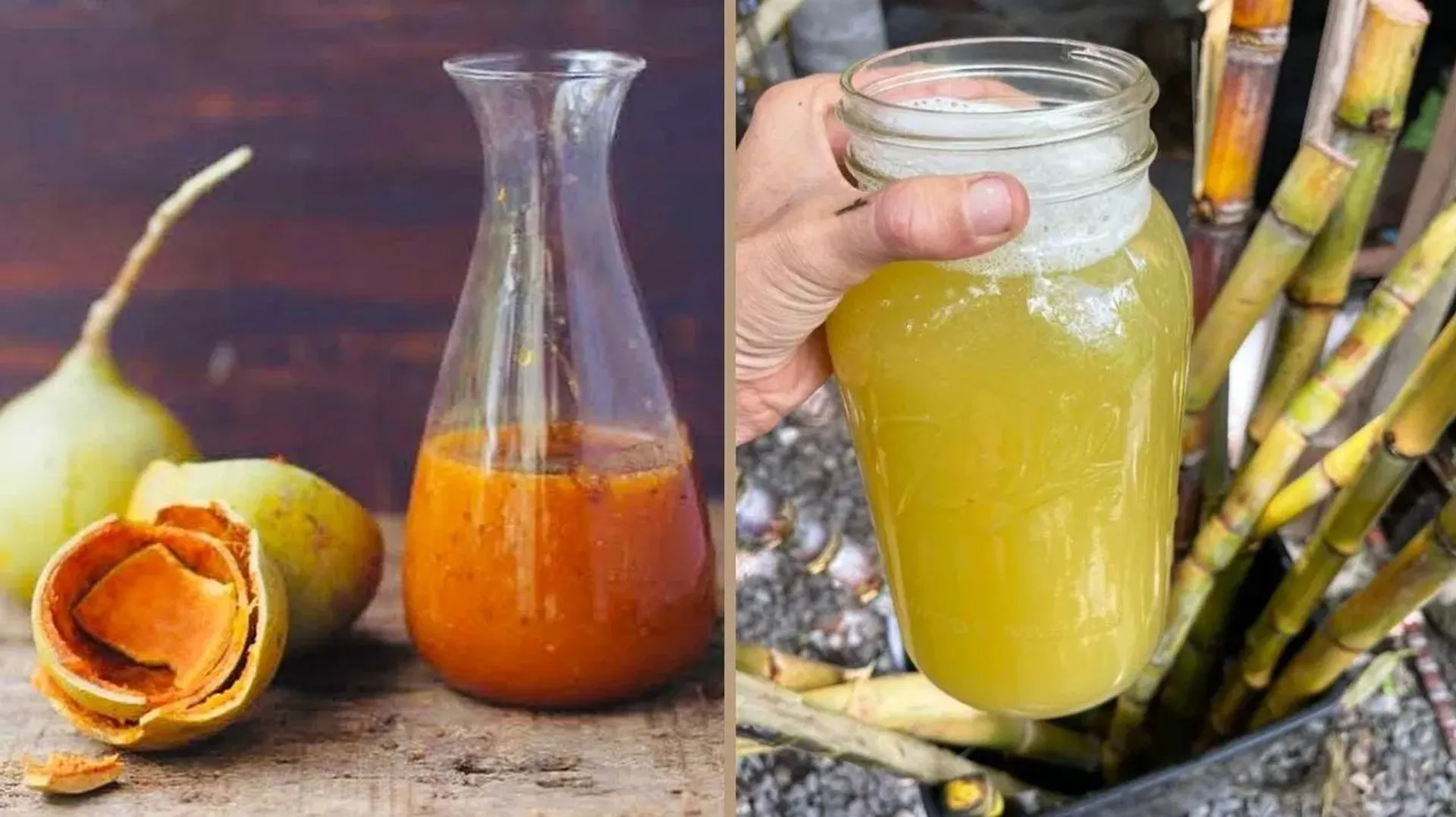 Juice Summer
