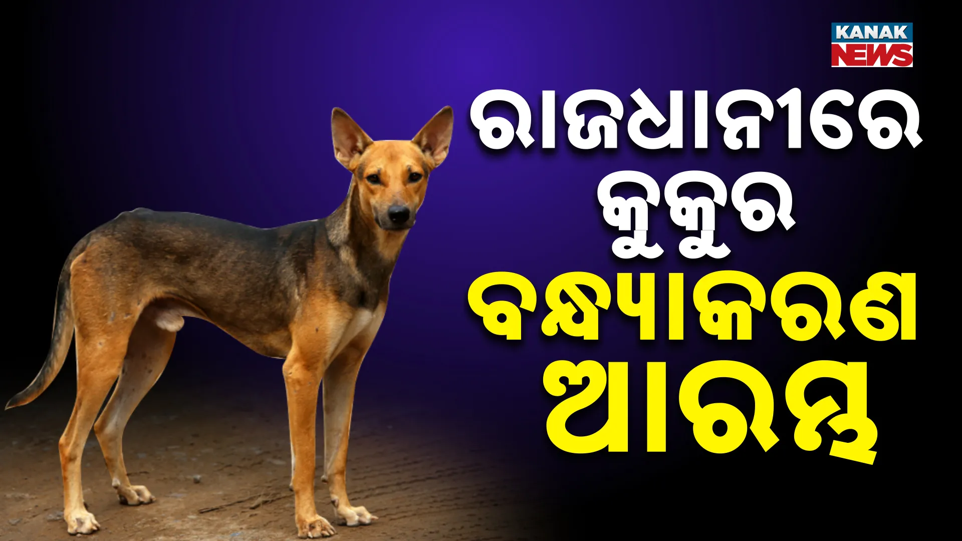 କହକହୀୋ 