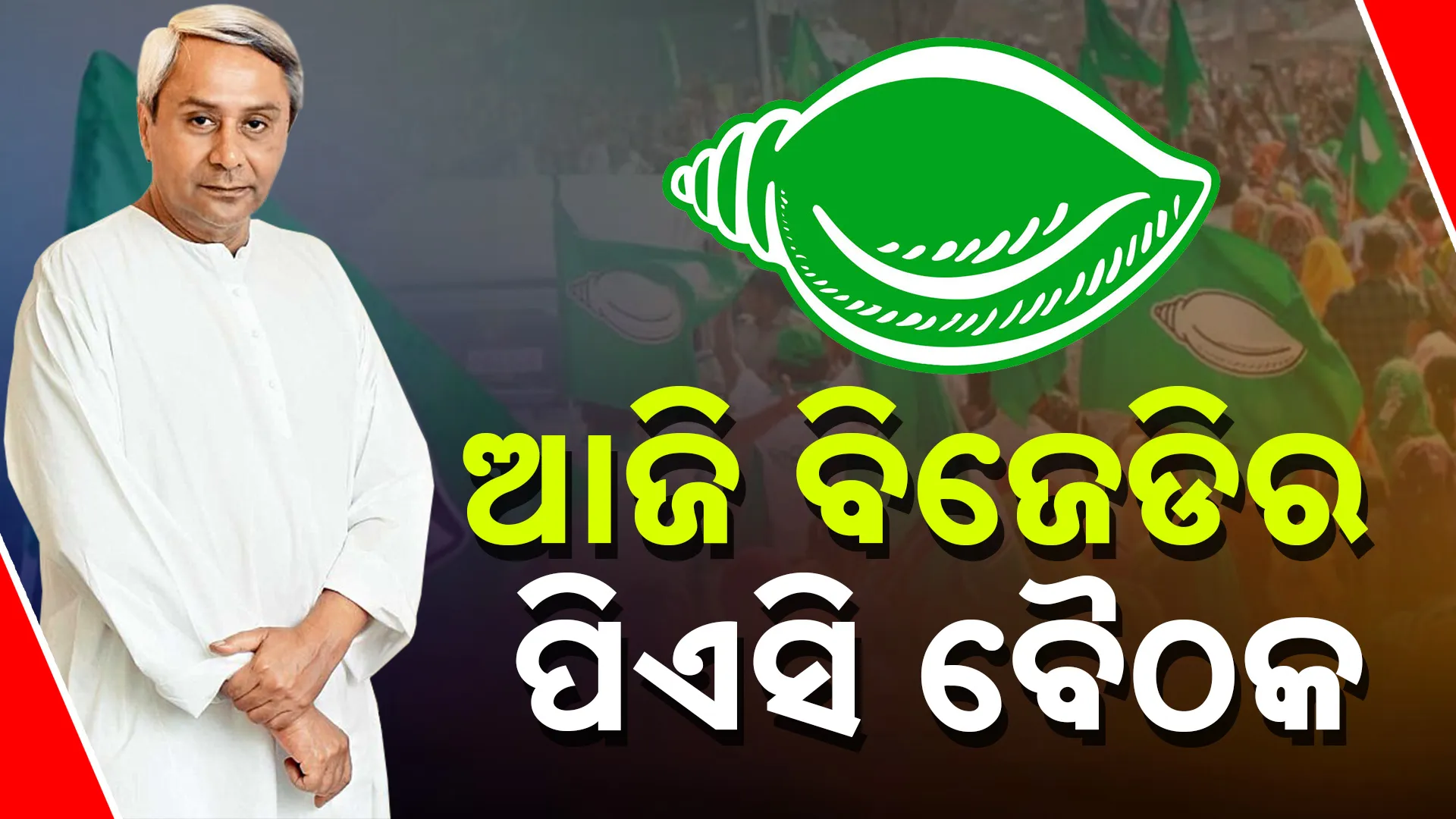 BJD 13