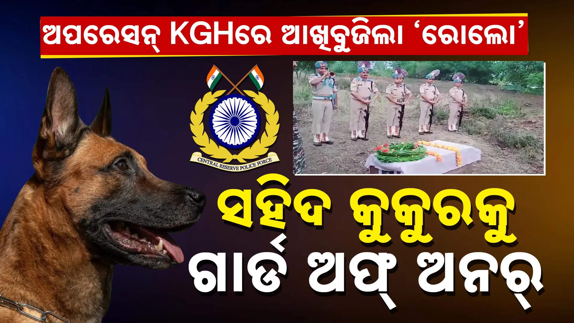 କତକତକ