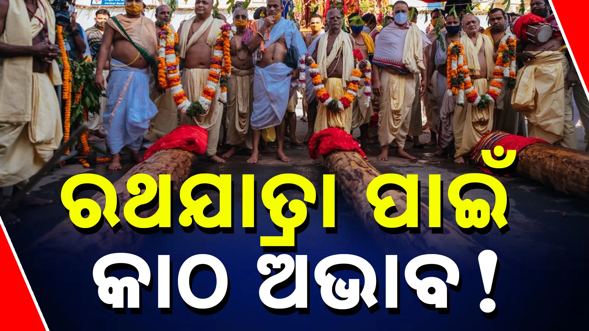 ରଥଯାତ୍ରା ପାଇଁ କାଠ ଅଭାବ!  	