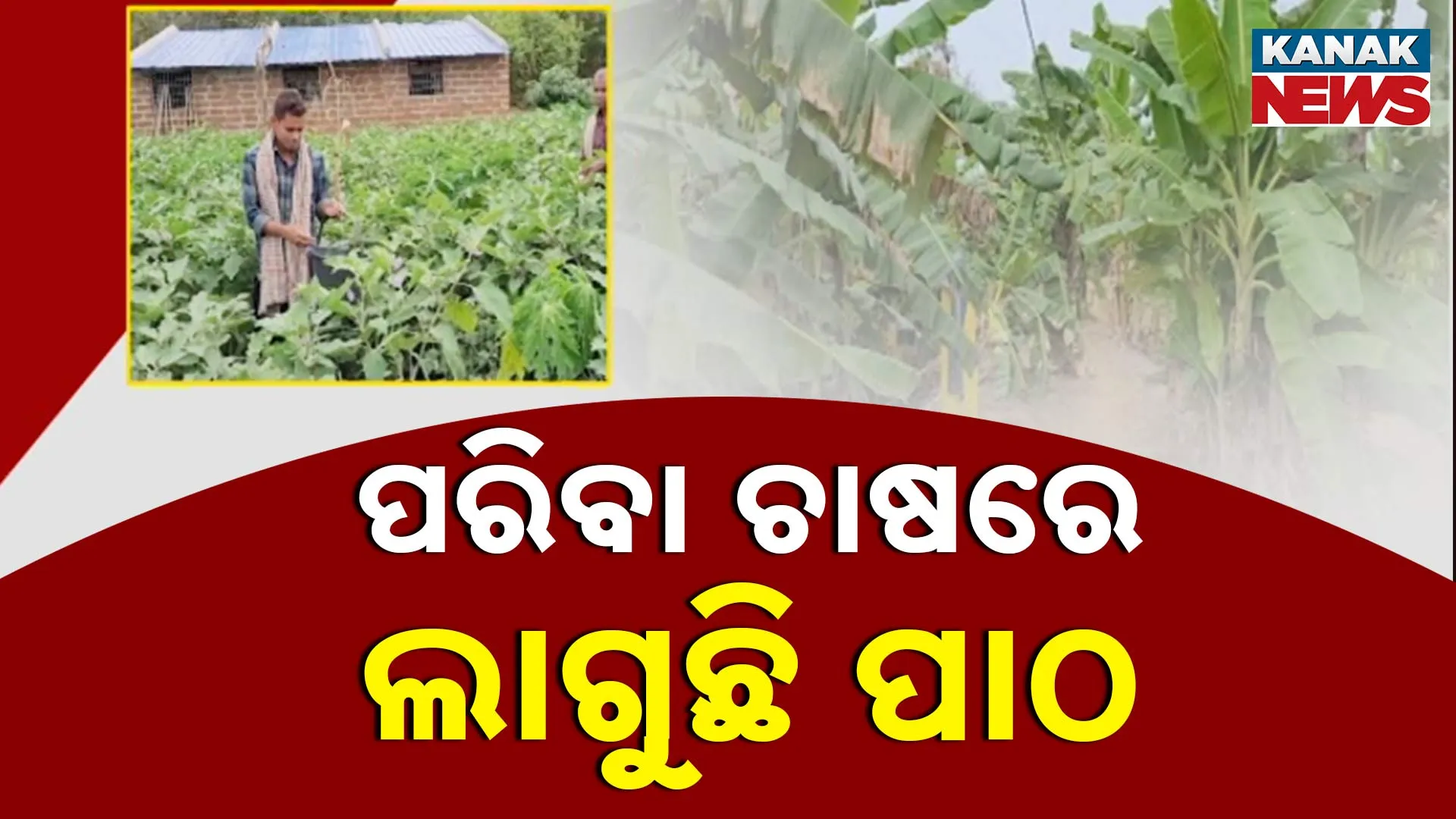 Farmer Ganjam