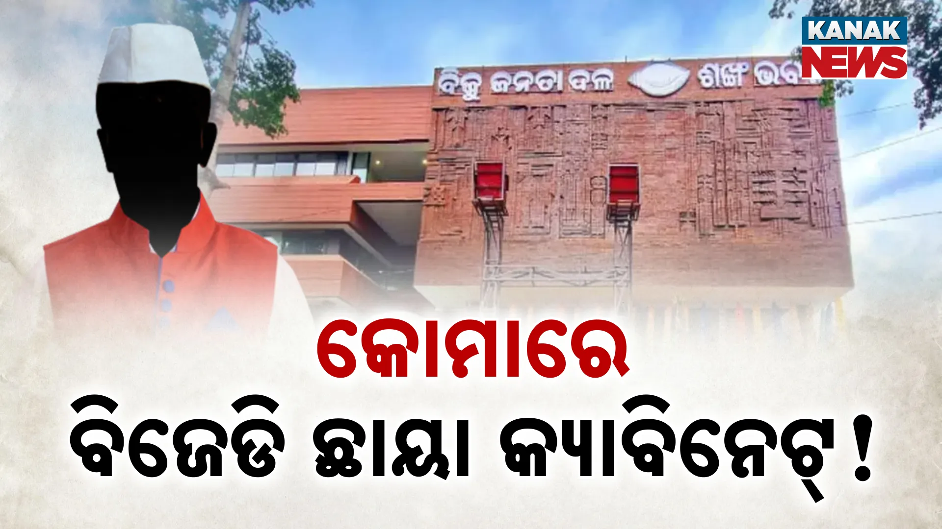 ଛାୟା କ୍ୟାବିନେଟ୍‌ 