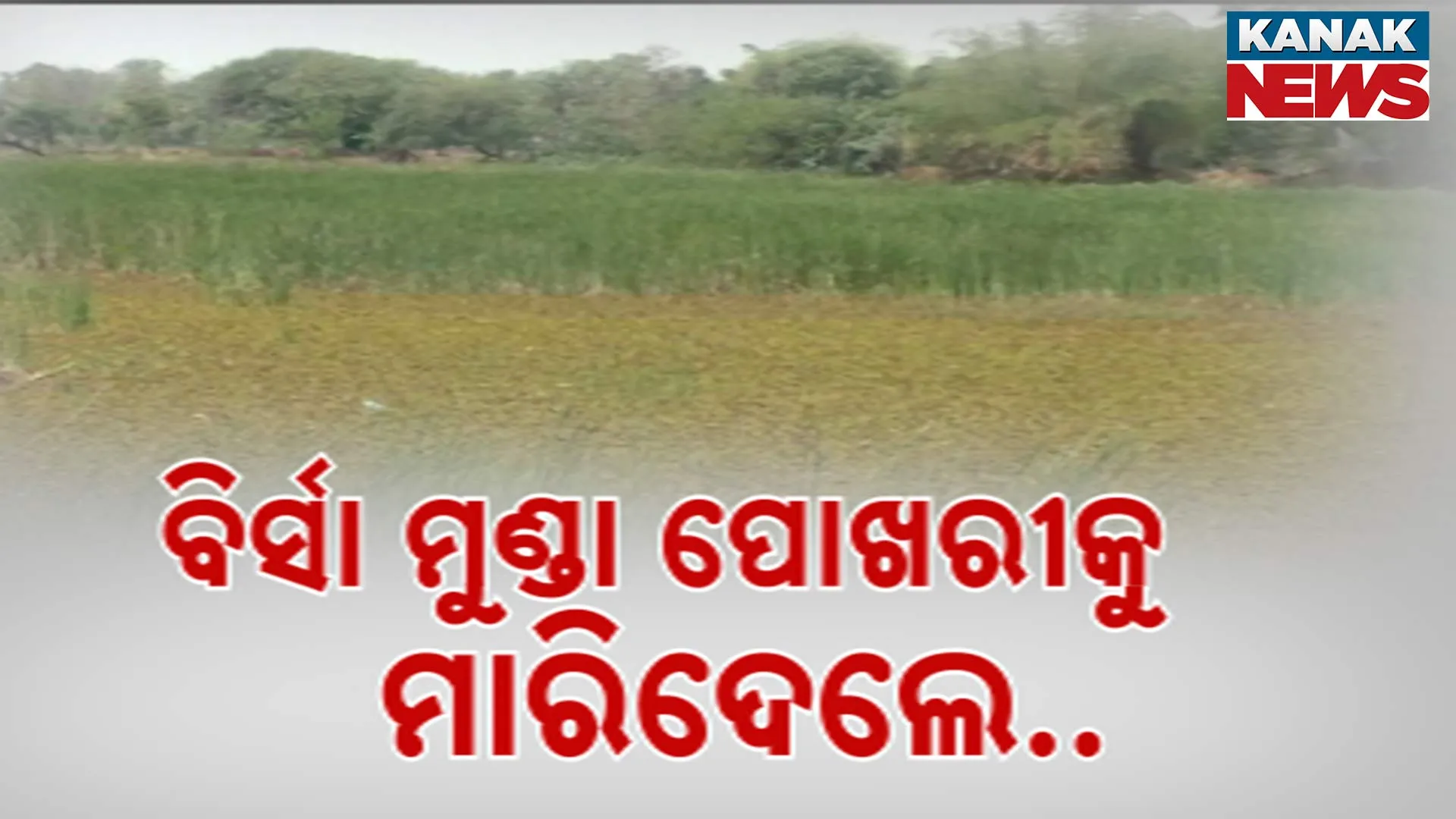 ପୋତି ହୋଇପଡ଼ିଛି ବିର୍ସାମୁଣ୍ଡା ପୋଖରୀ