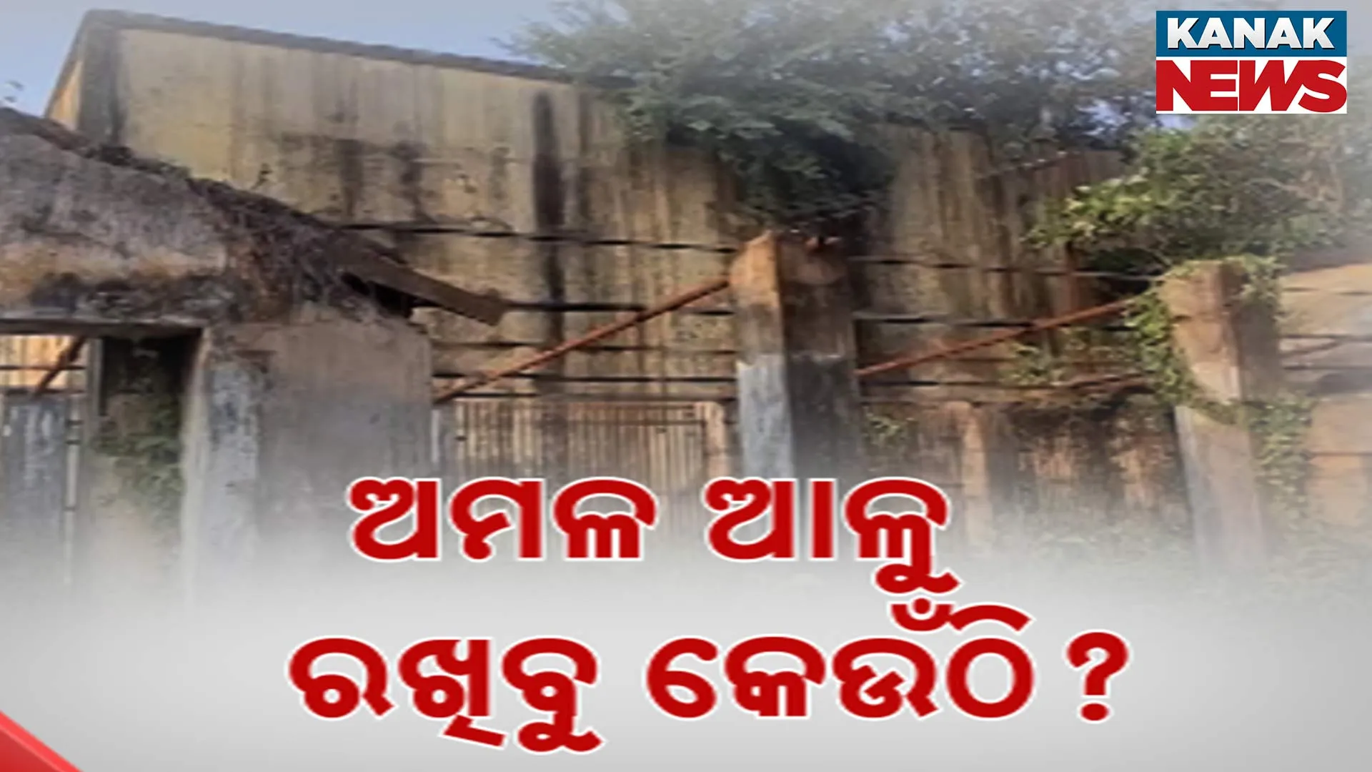 ଅମଳ ଆଳୁ ରଖିବୁ କେଉଁଠି?