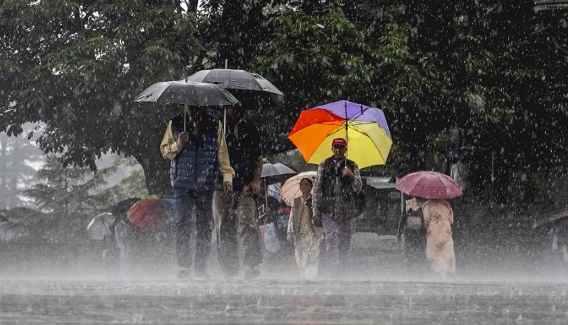 Rain******