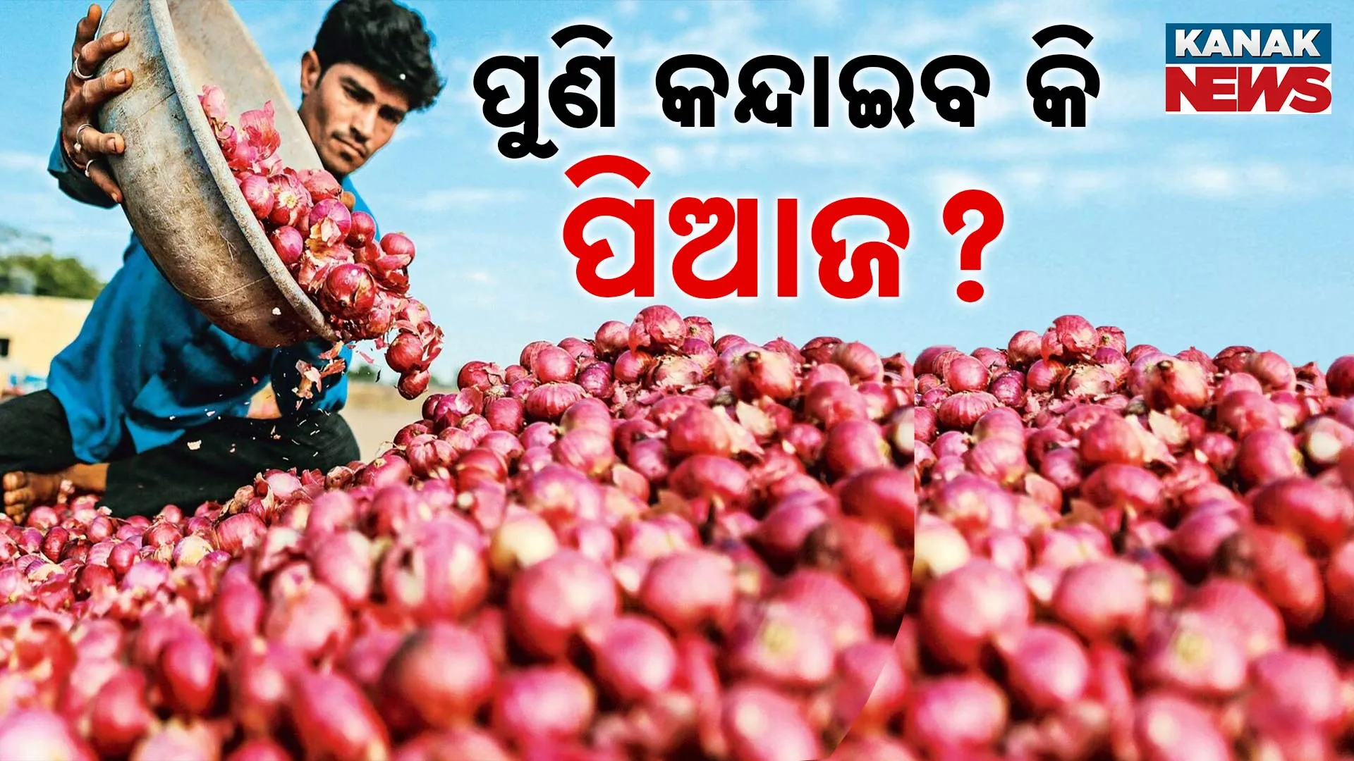 Onion 