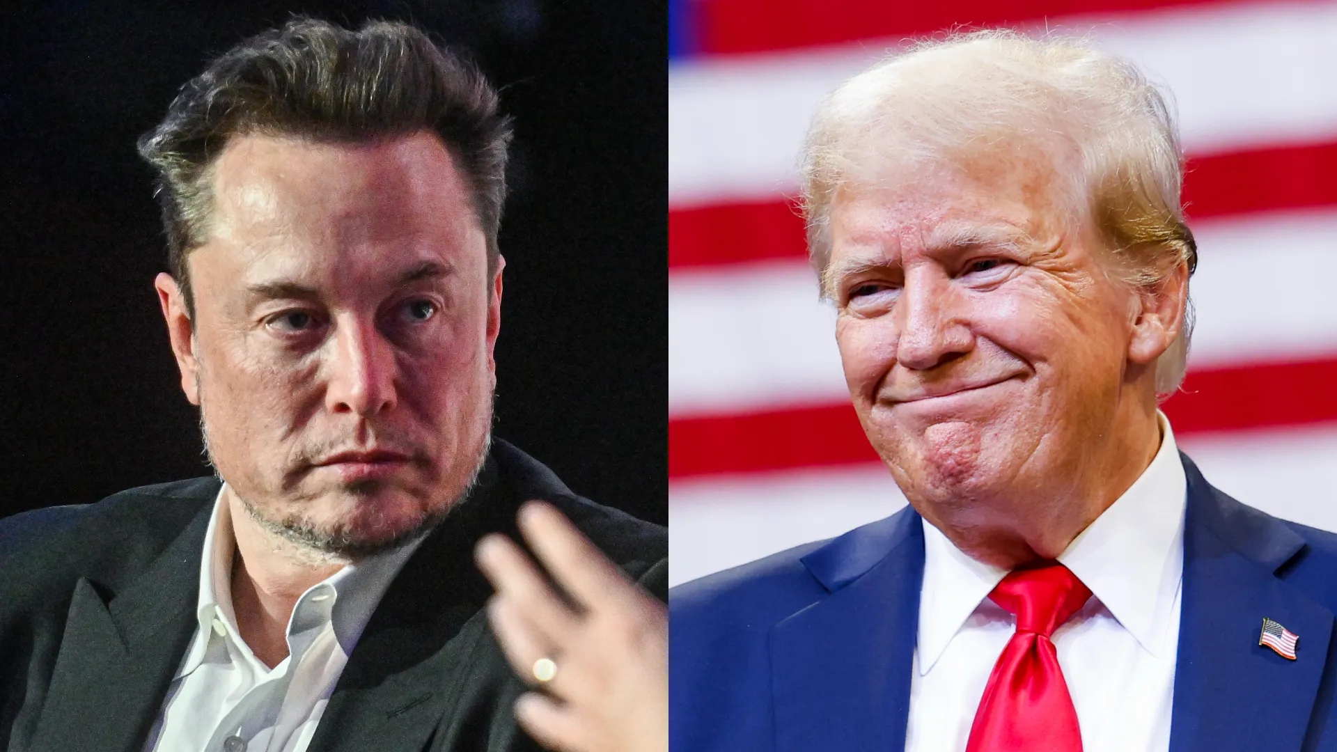 musk b