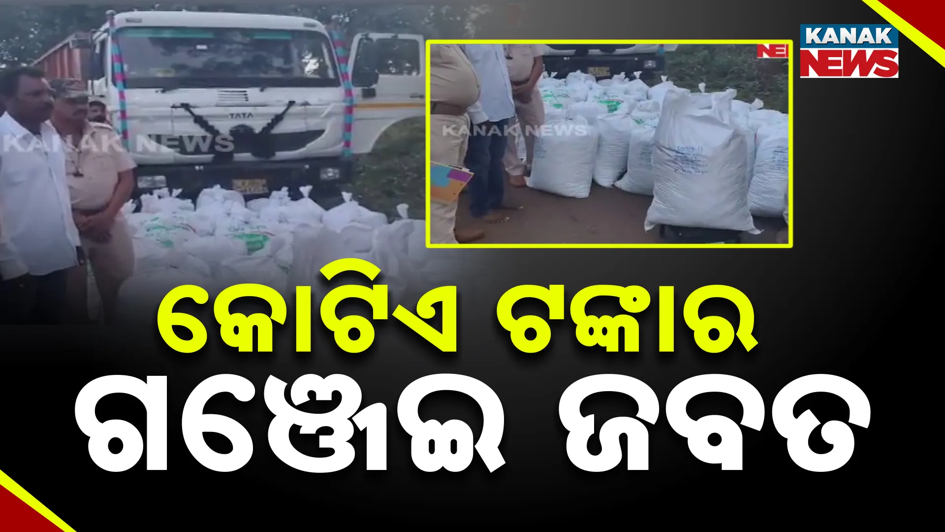 କୋଟିଏ ଟଙ୍କାର ଗଞ୍ଜେଇ ଜବତ