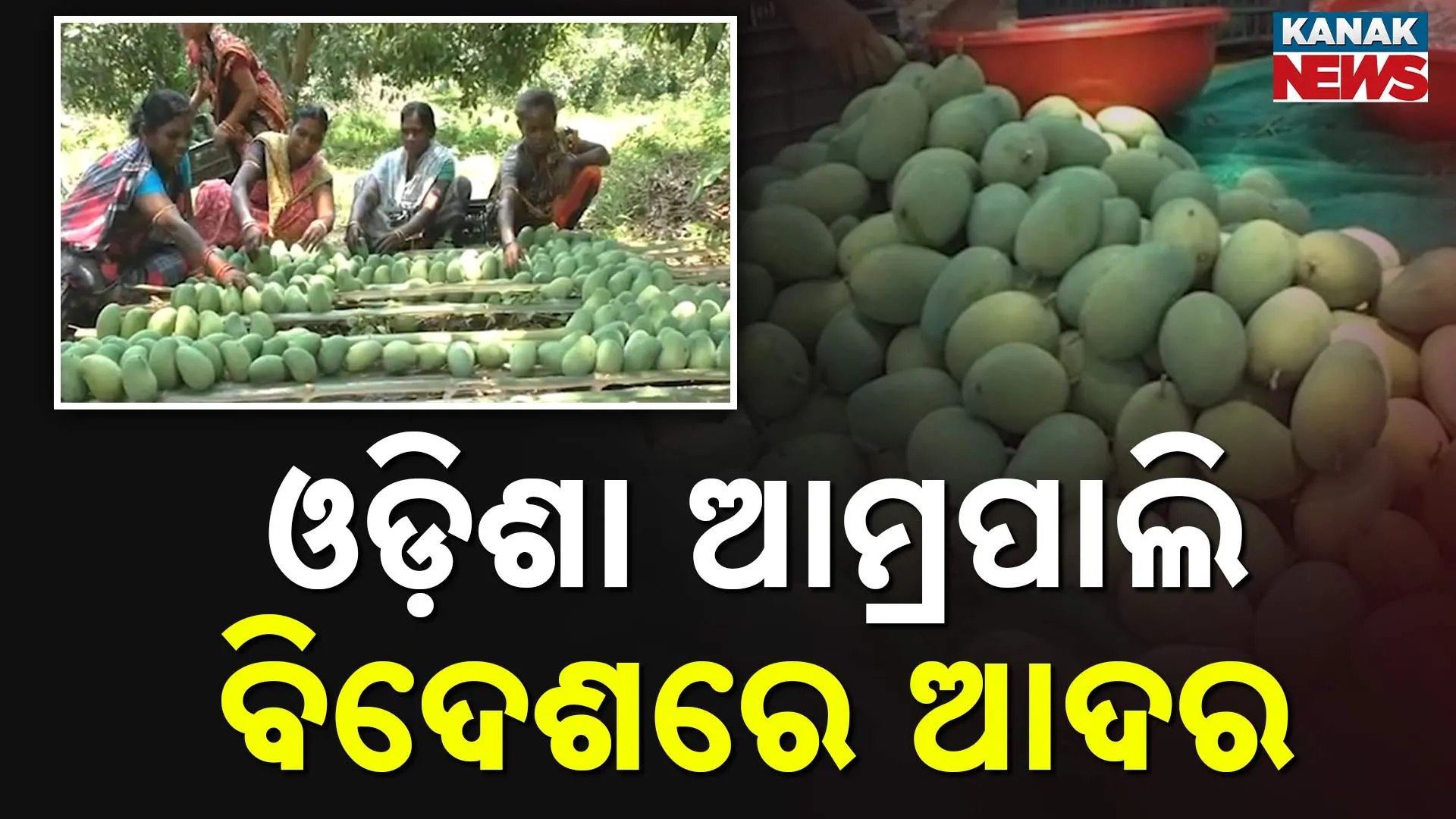 Amrapali Mango
