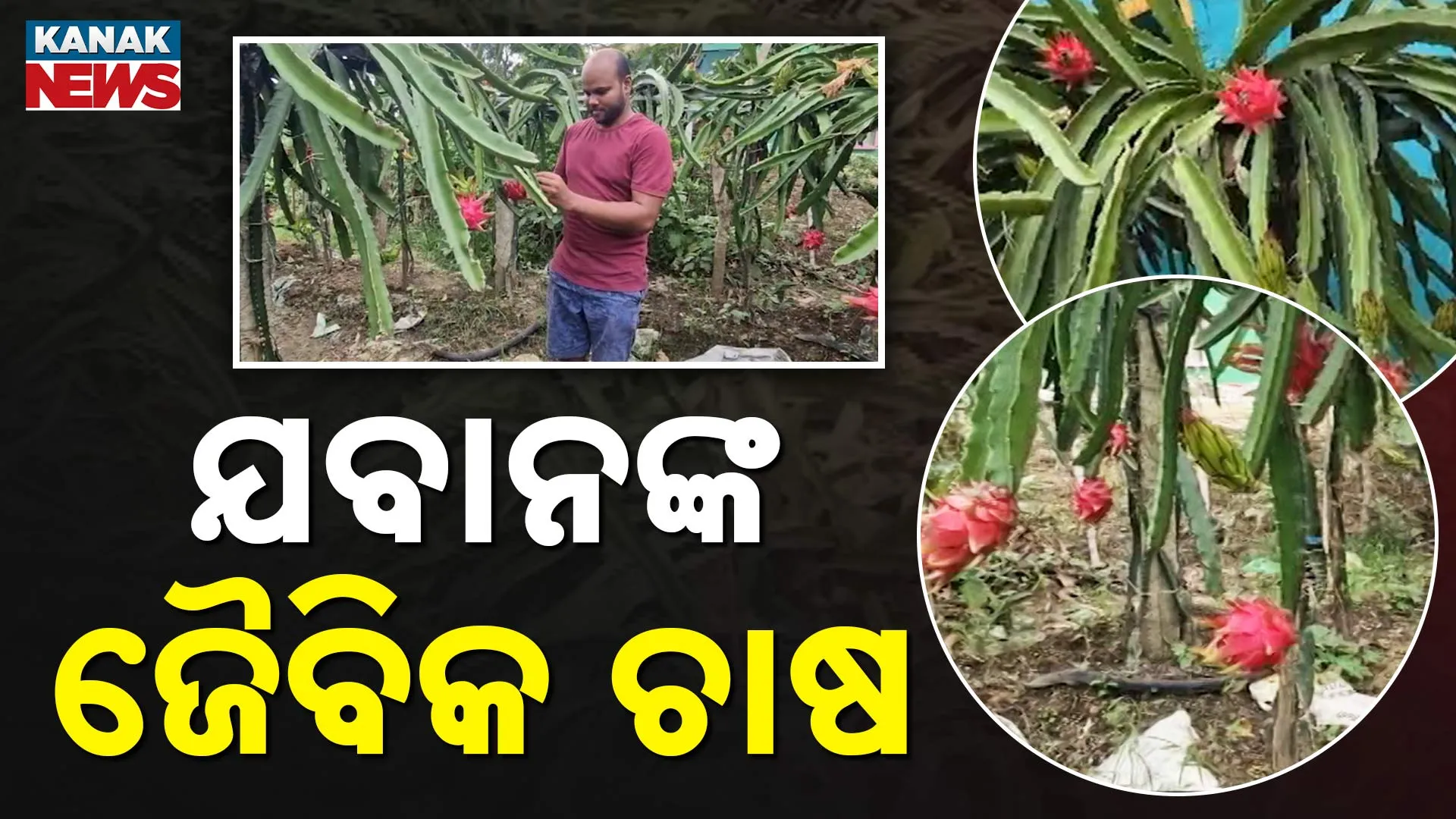 Ex Army Man Doing Farming 