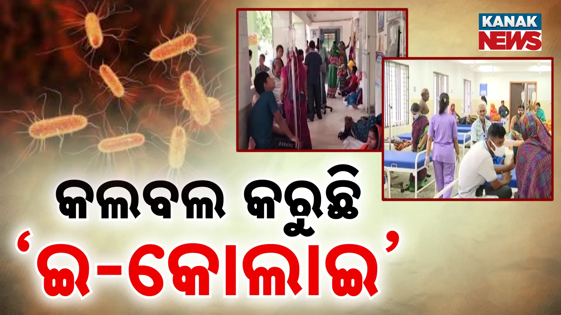 ଇ-କୋଲାଇ ସଂକ୍ରମଣ ଲକ୍ଷଣ  