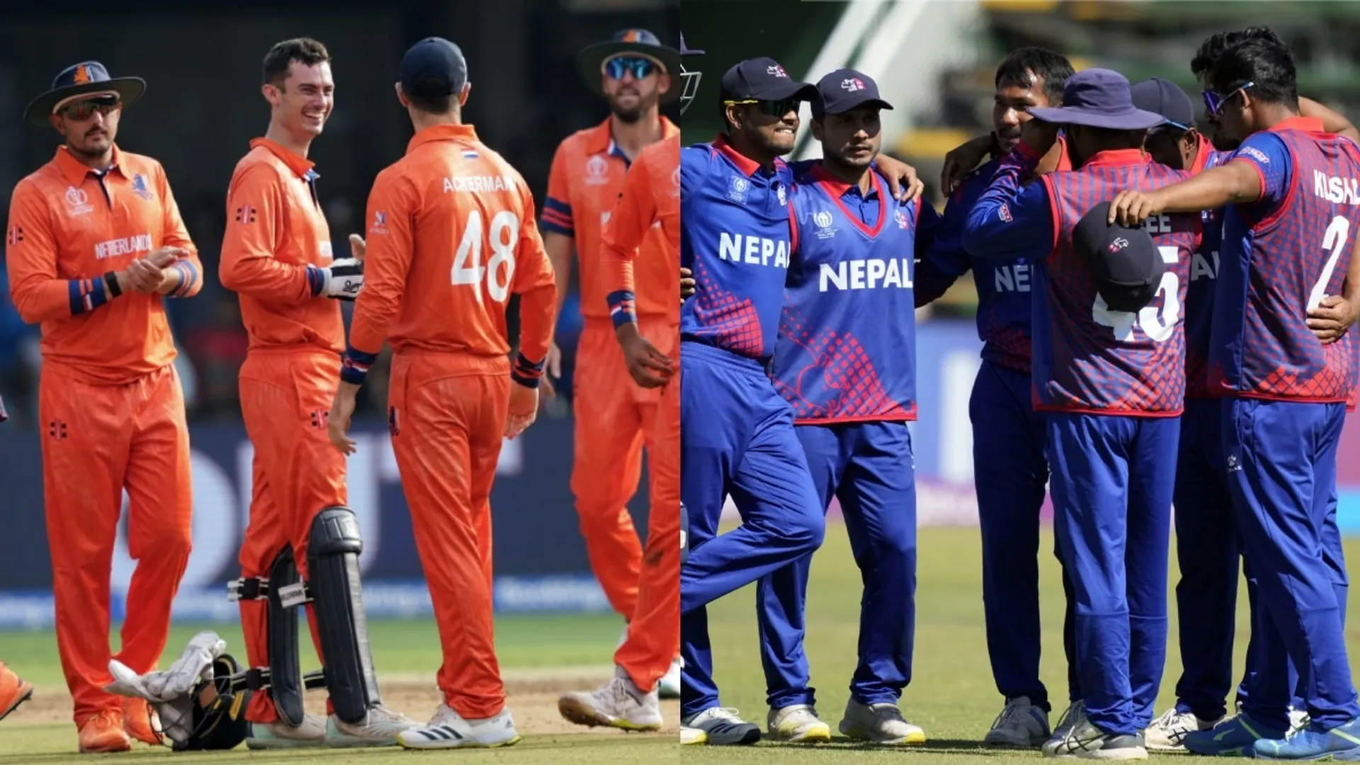 Nep vs Ned