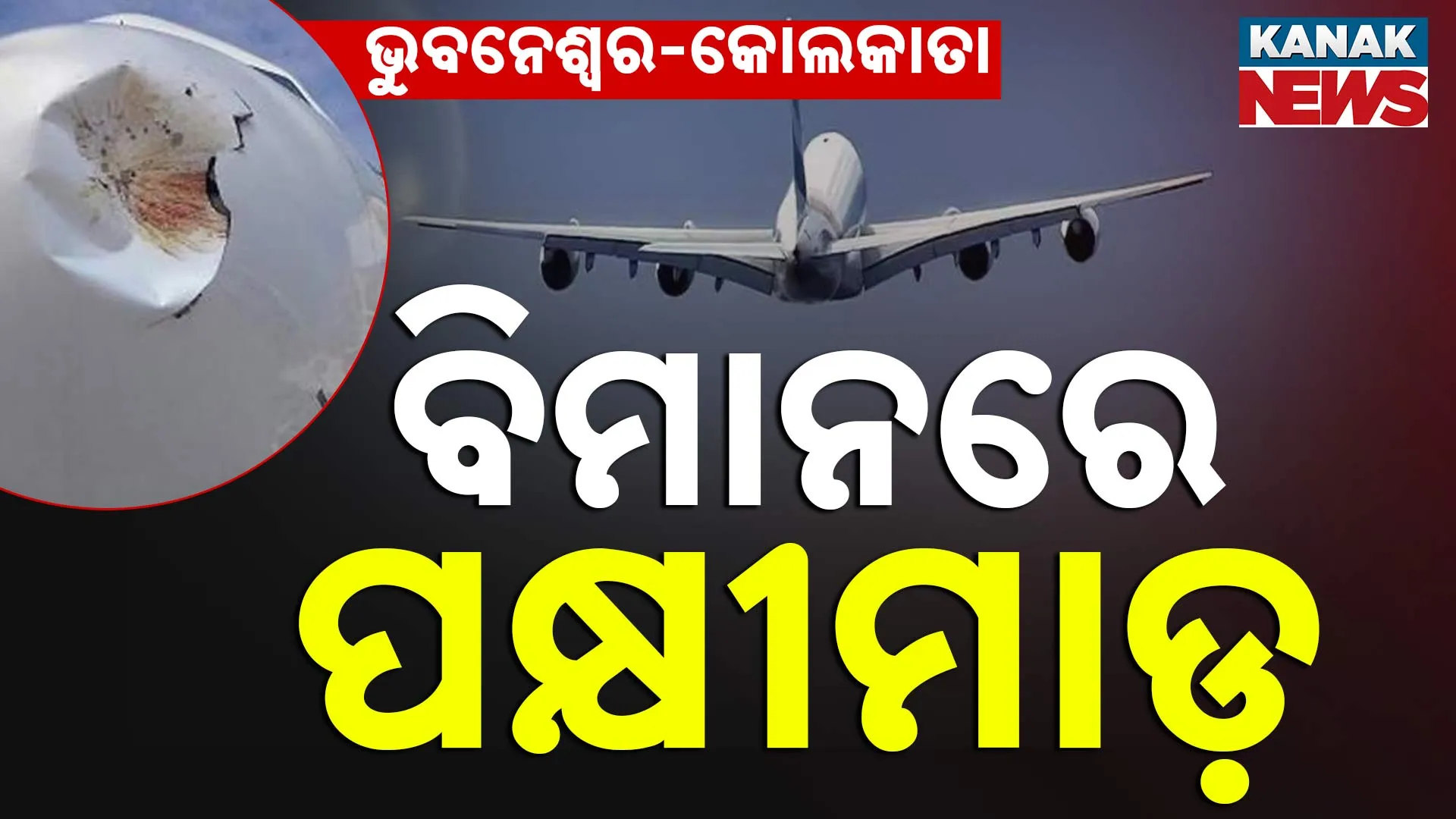 Biman
