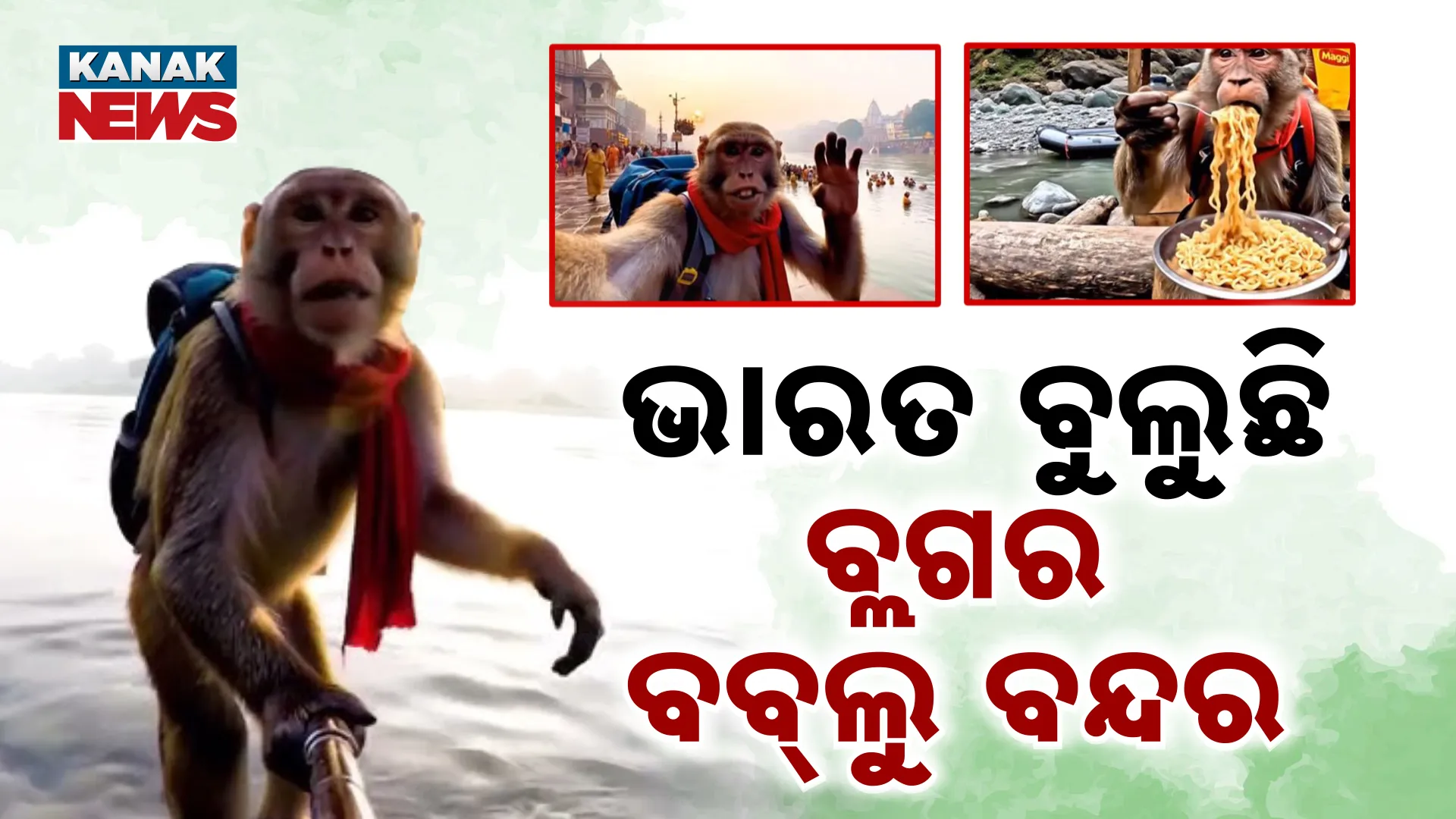 ବ୍ଲଗର ବବ୍‌ଲୁ ବନ୍ଦର
