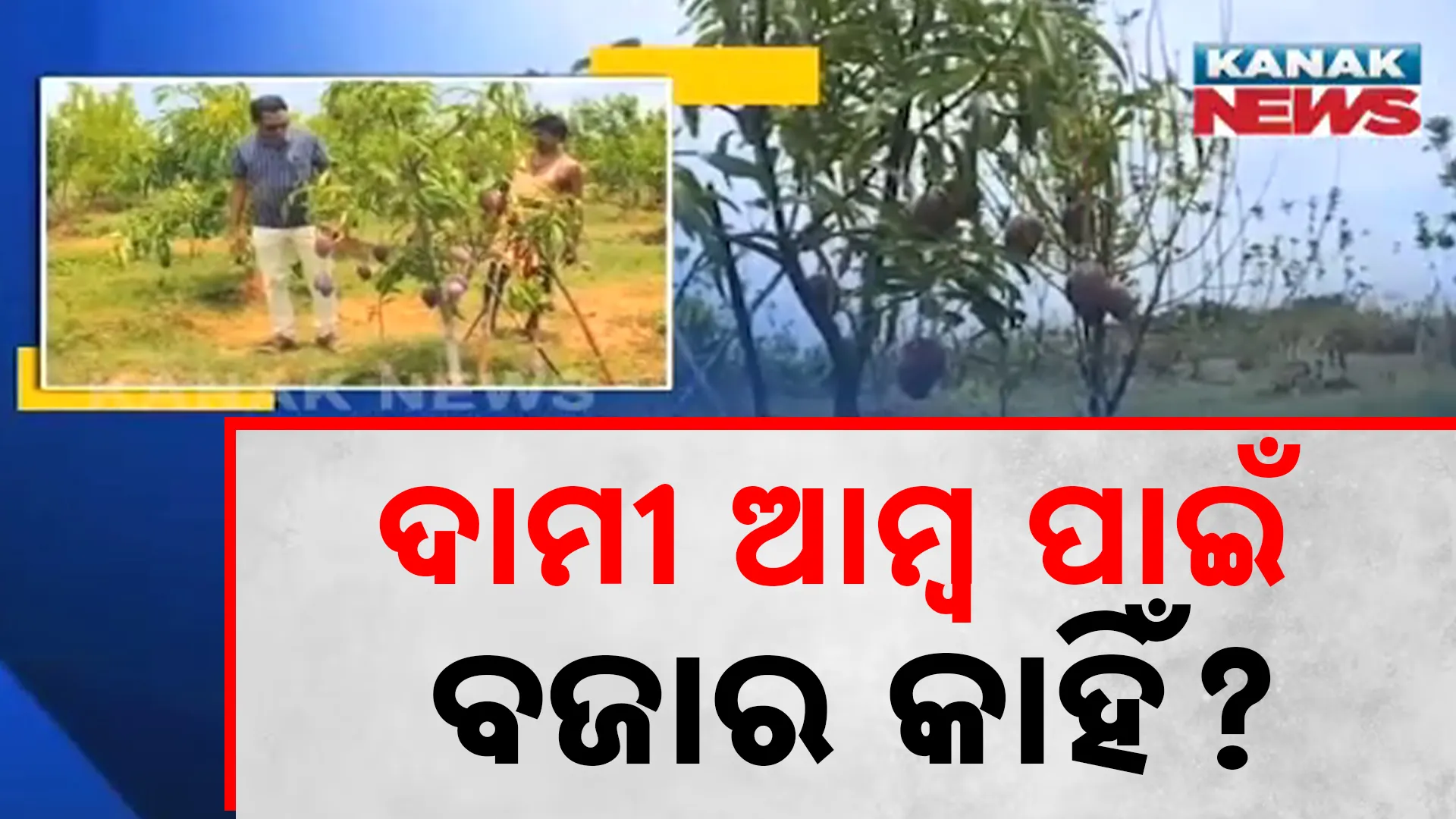ଦାମୀ ଆମ୍ବ ପାଇଁ ବଜାର କାହିଁ?
