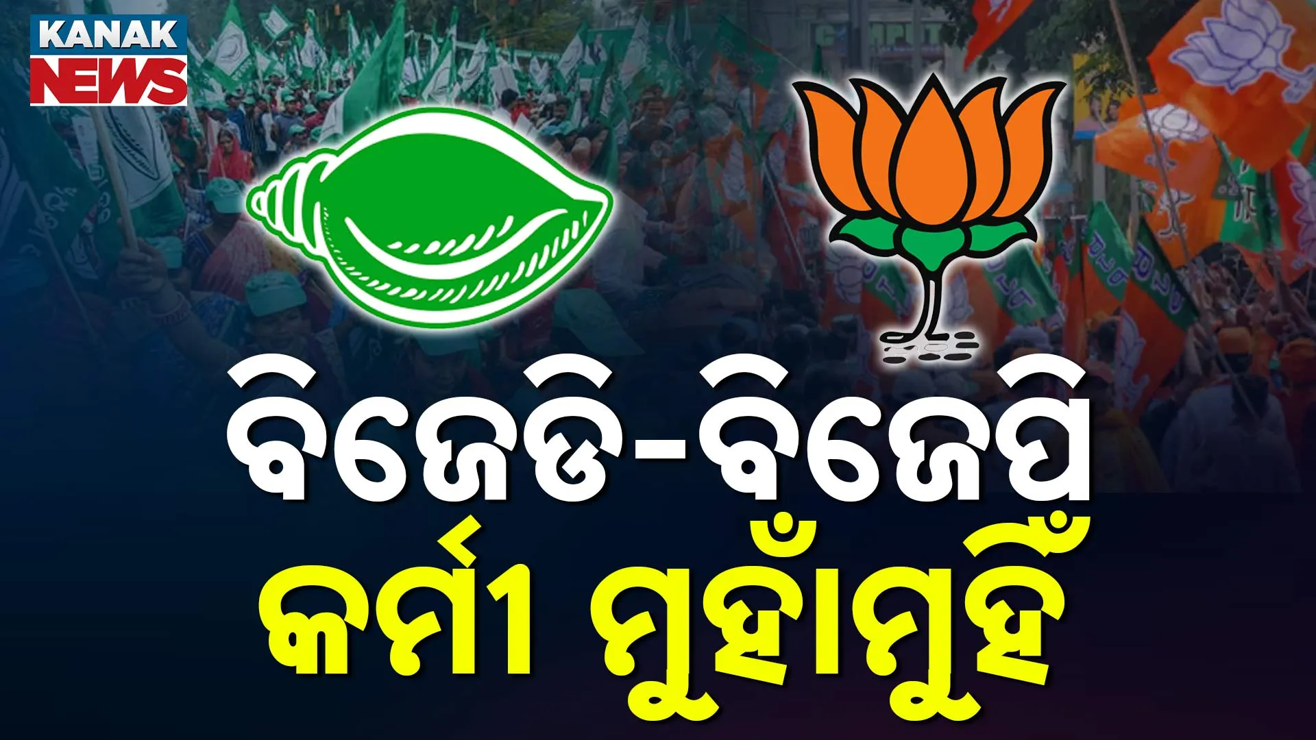 bjd -bjp