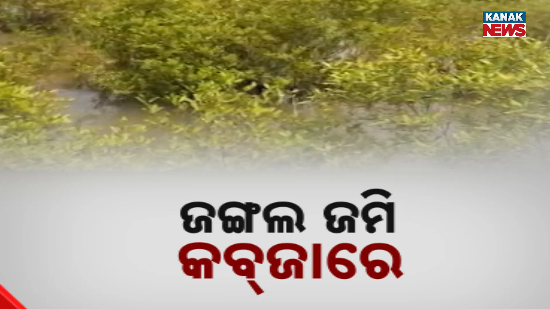 Forest land grab