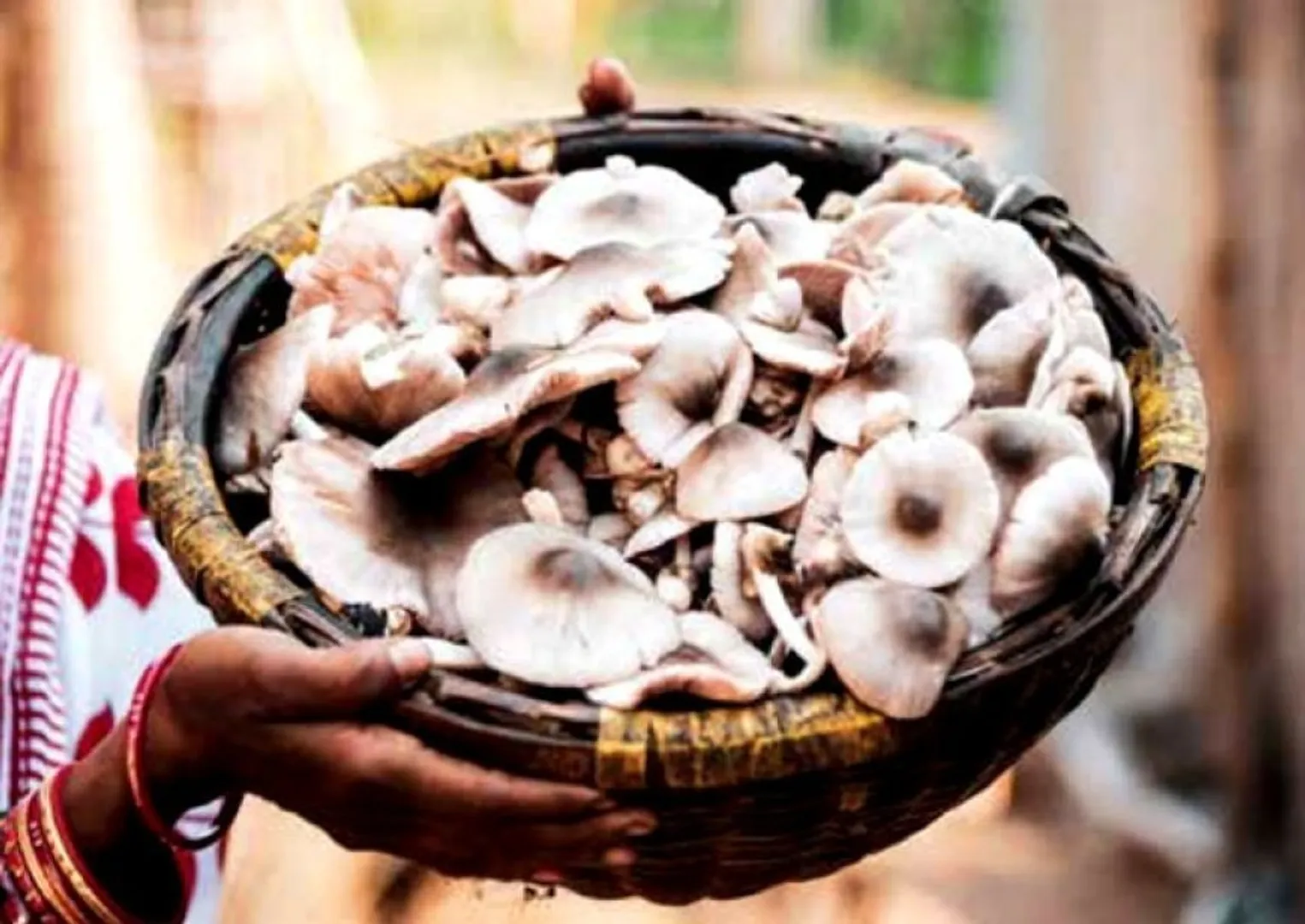 Shraban Chatu