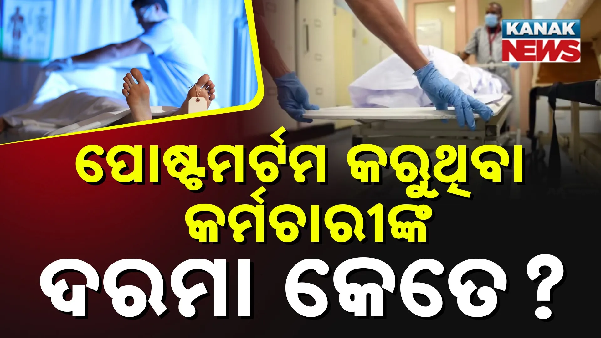 ମାସକୁ କେତେ ପାଆନ୍ତି ଟଙ୍କା