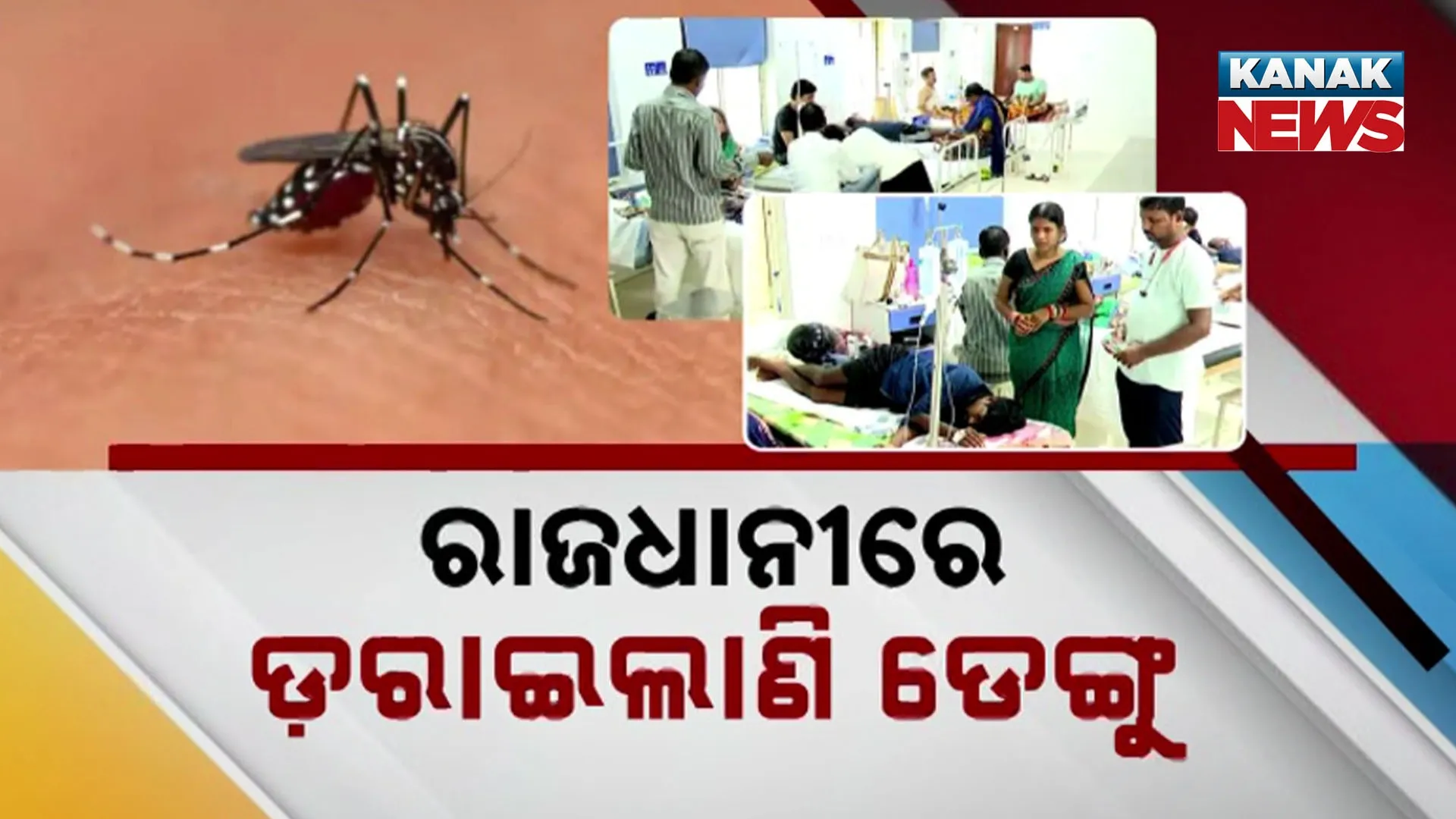 Dengue
