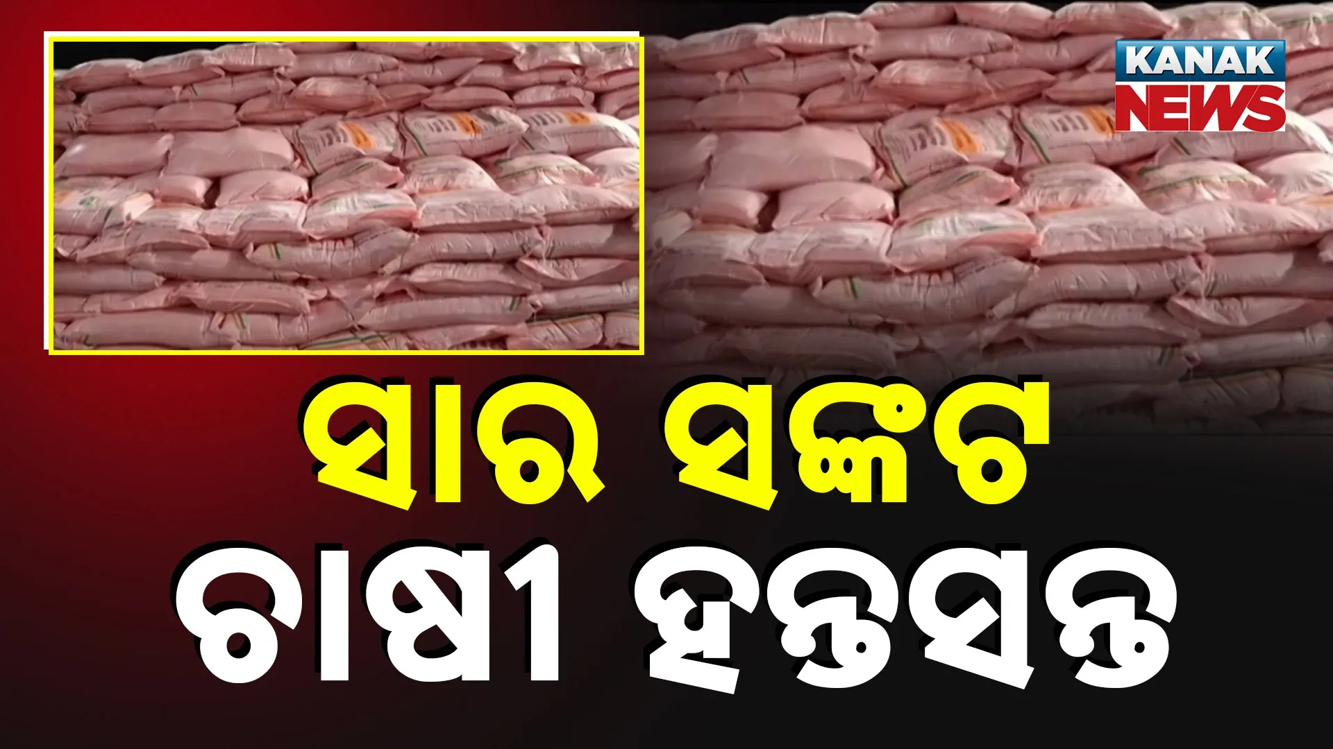ସାର ସଙ୍କଟ, ଚାଷୀ ହନ୍ତସନ୍ତ
