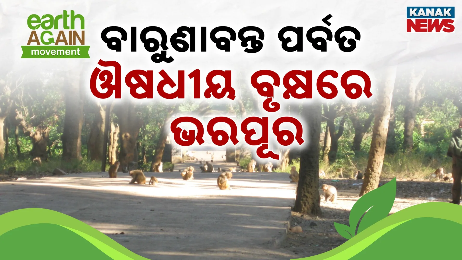 Chandikhol