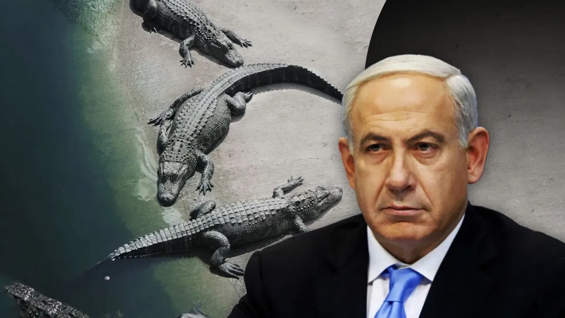 israel-crocodiles