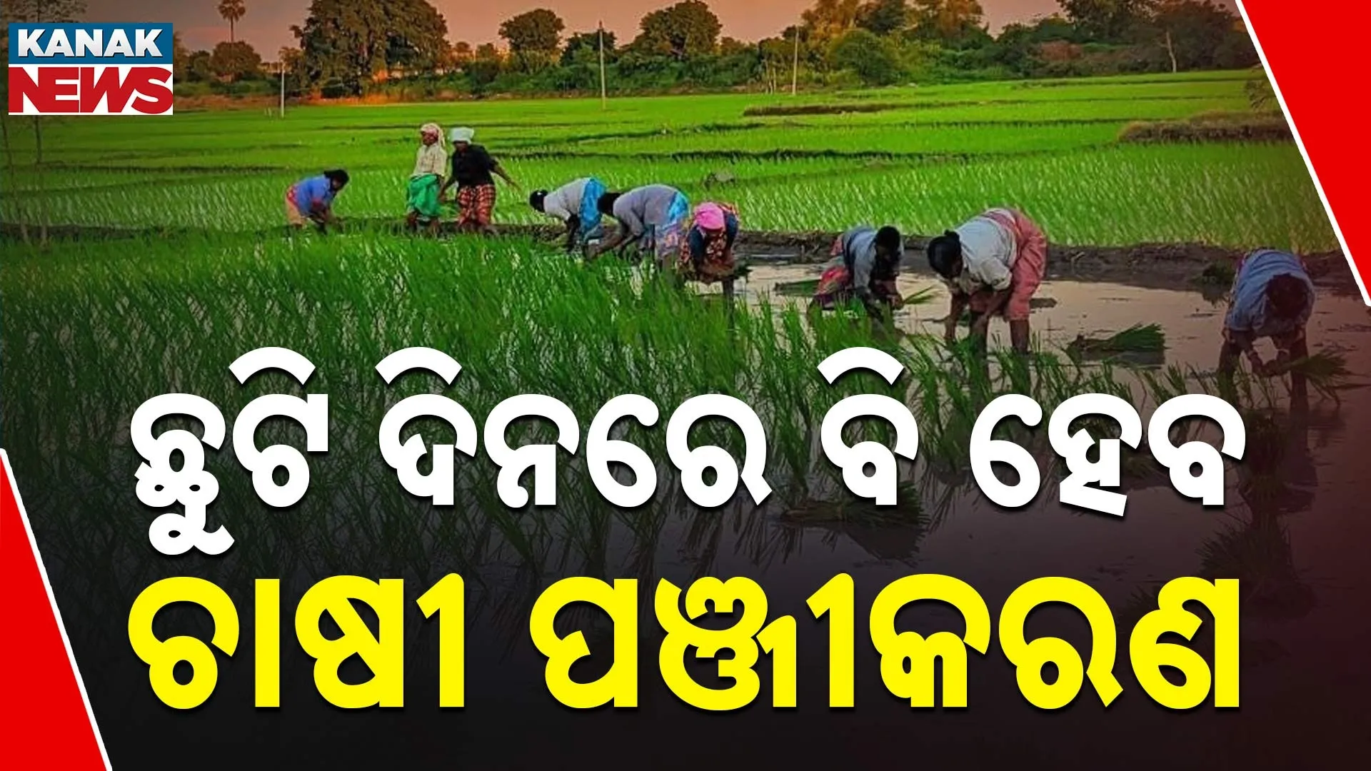‘ଛୁଟିଦିନରେ କର ଚାଷୀ ପଞ୍ଜିକରଣ’