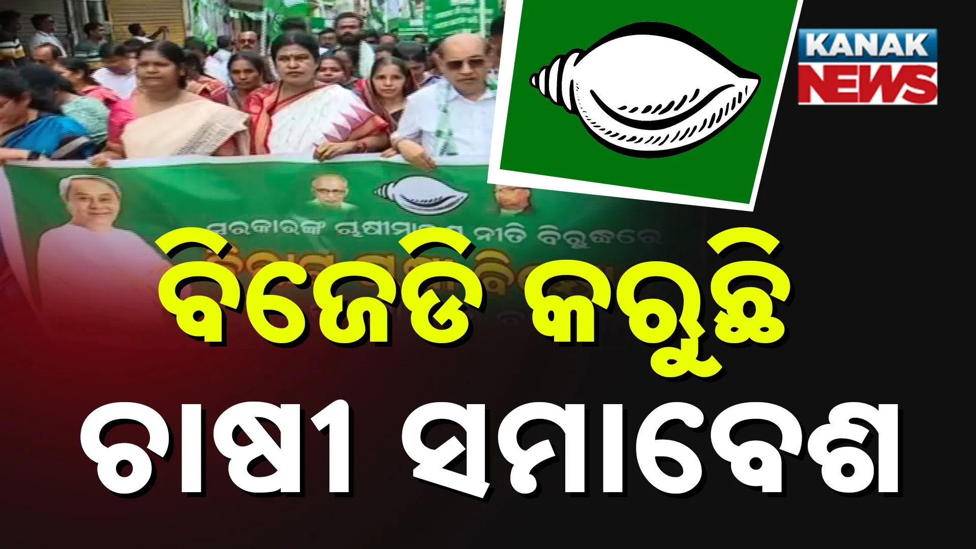 BJD