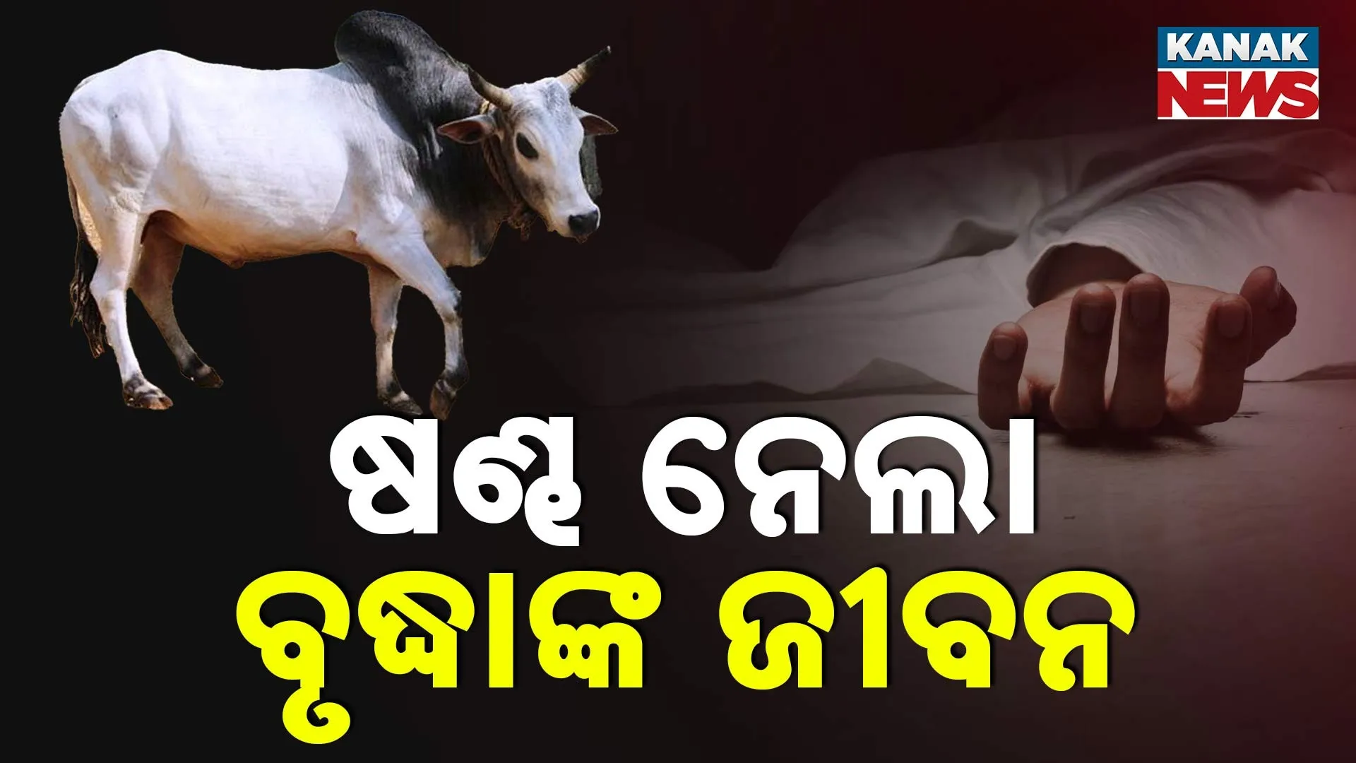 Bull Attack