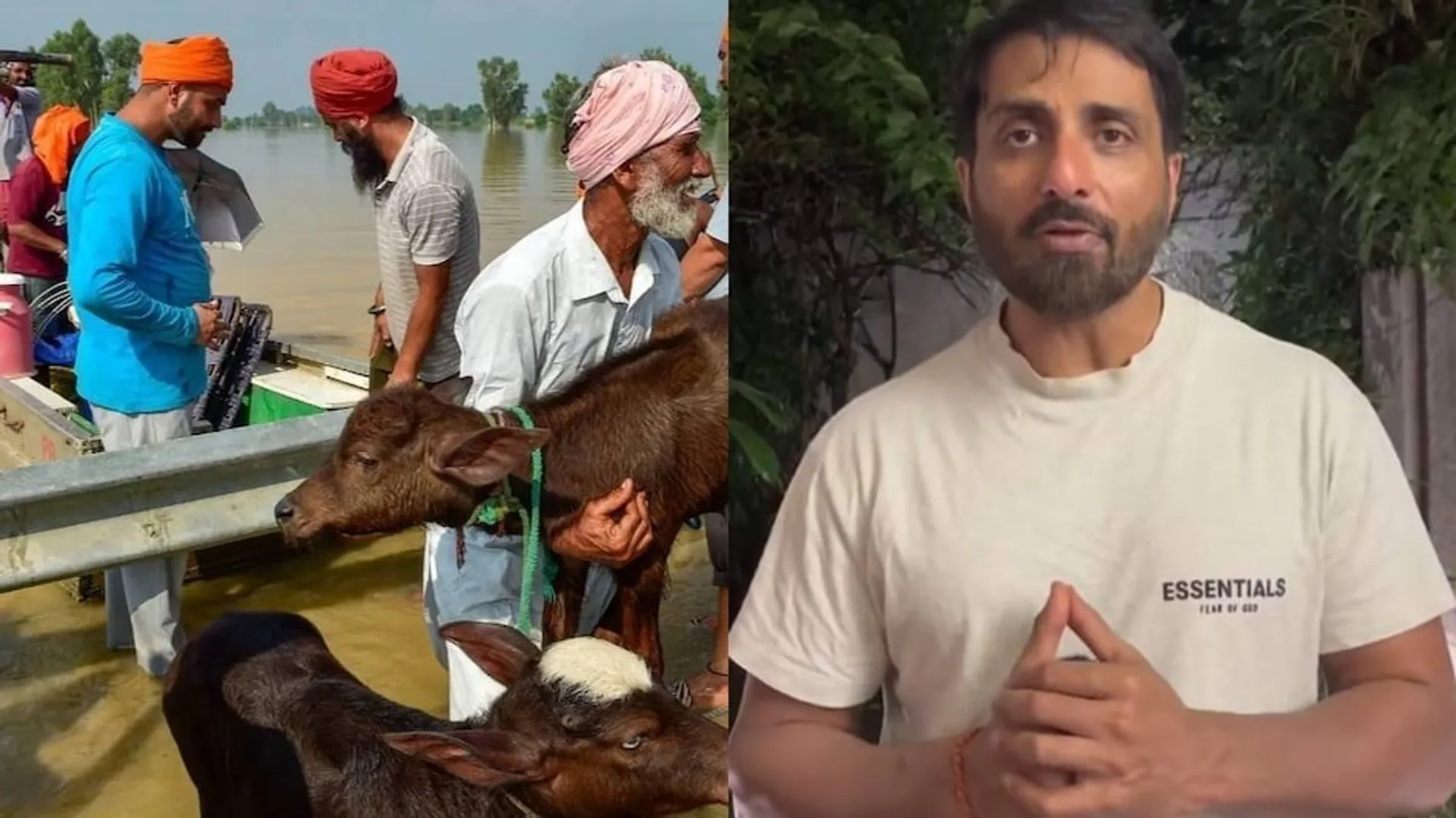 sonu-sood-punjab