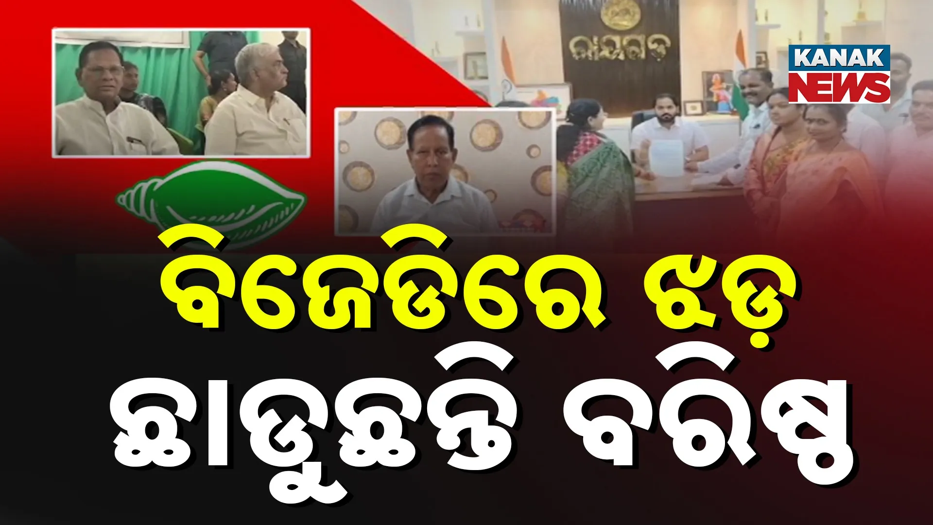 BJD